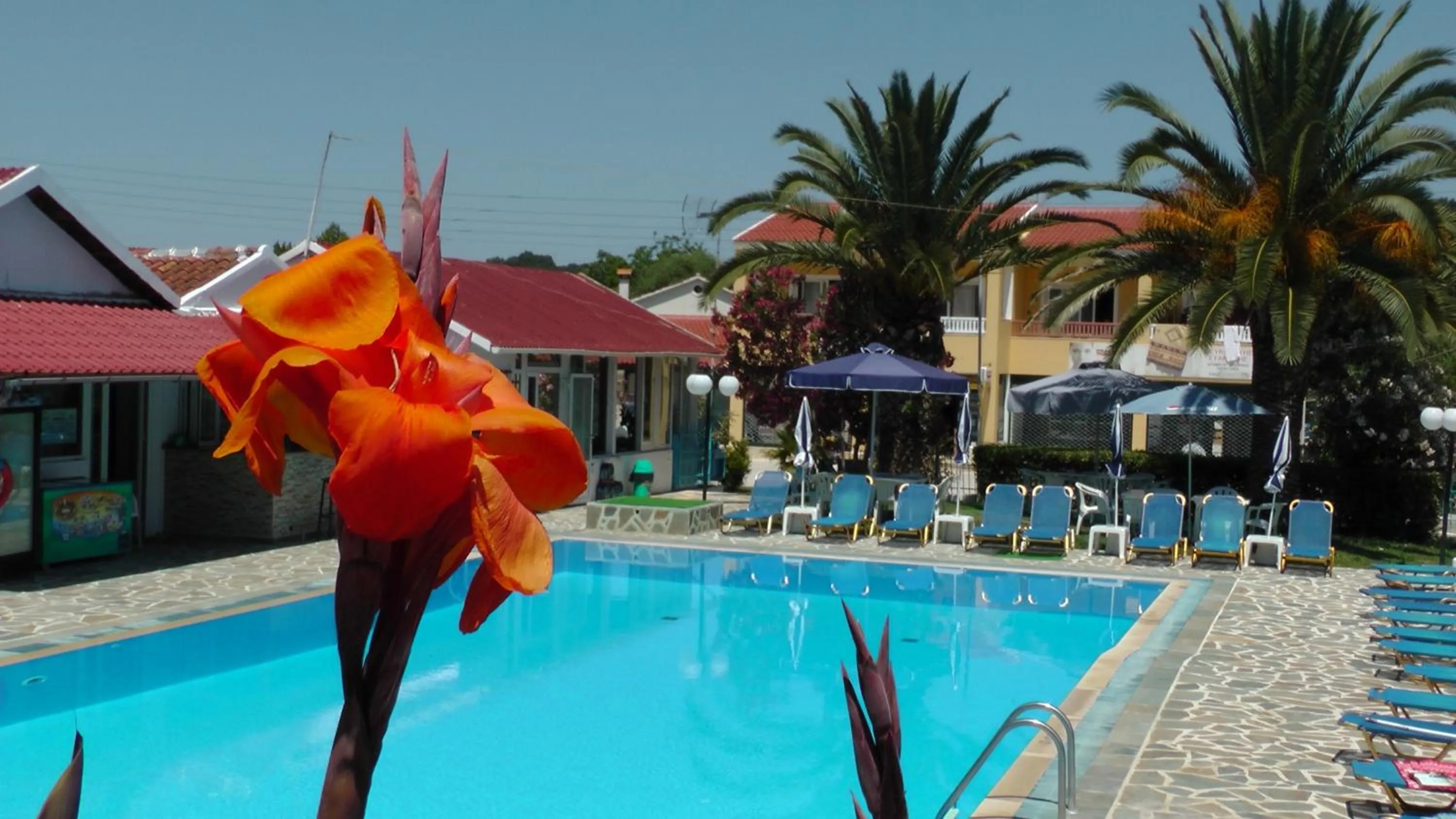 Garden in Tria Adelphia