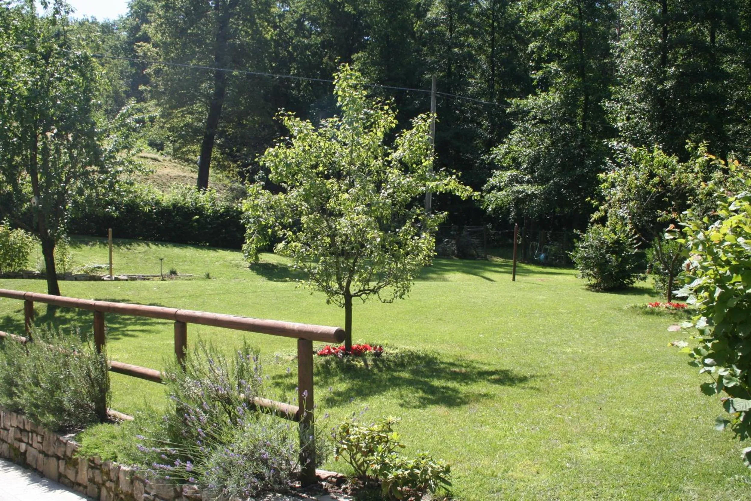 Garden in B&B La Casa Di Campagna