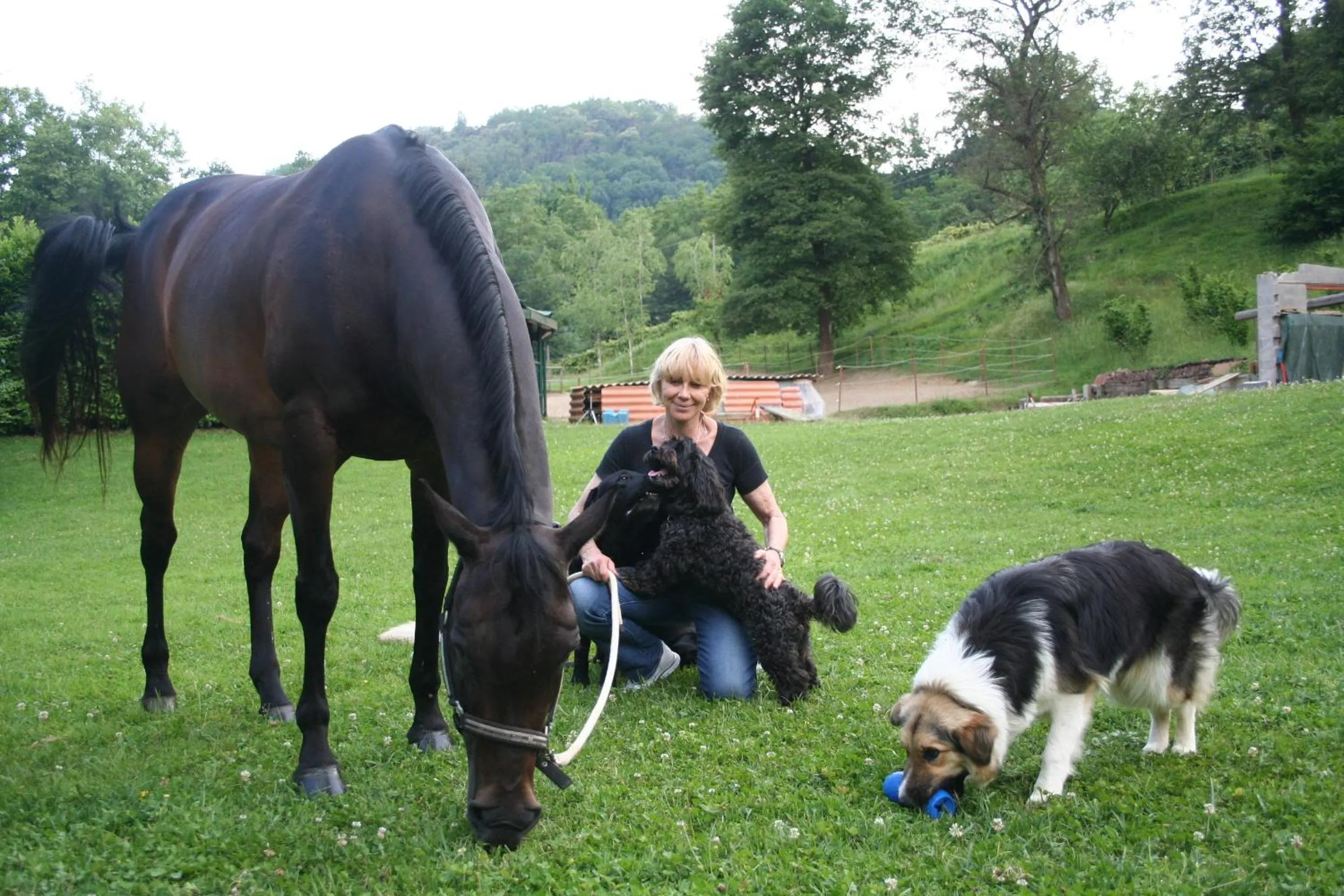Animals in B&B La Casa Di Campagna