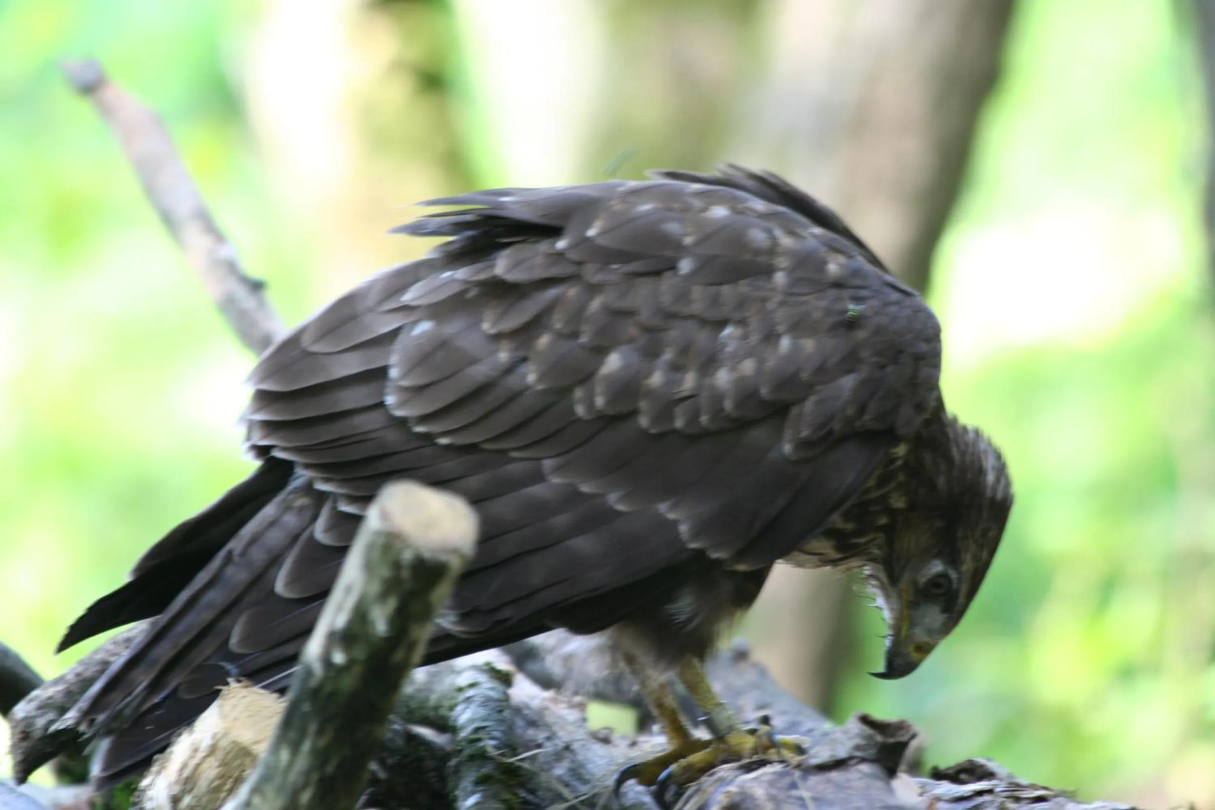 Day in B&B La Casa Di Campagna