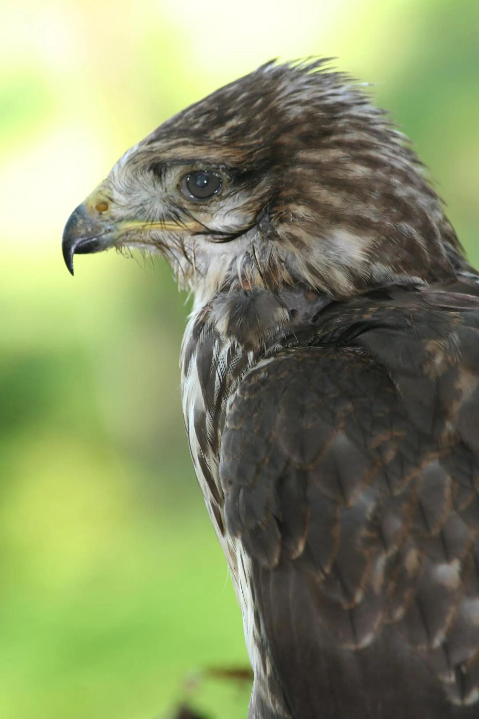 Day in B&B La Casa Di Campagna