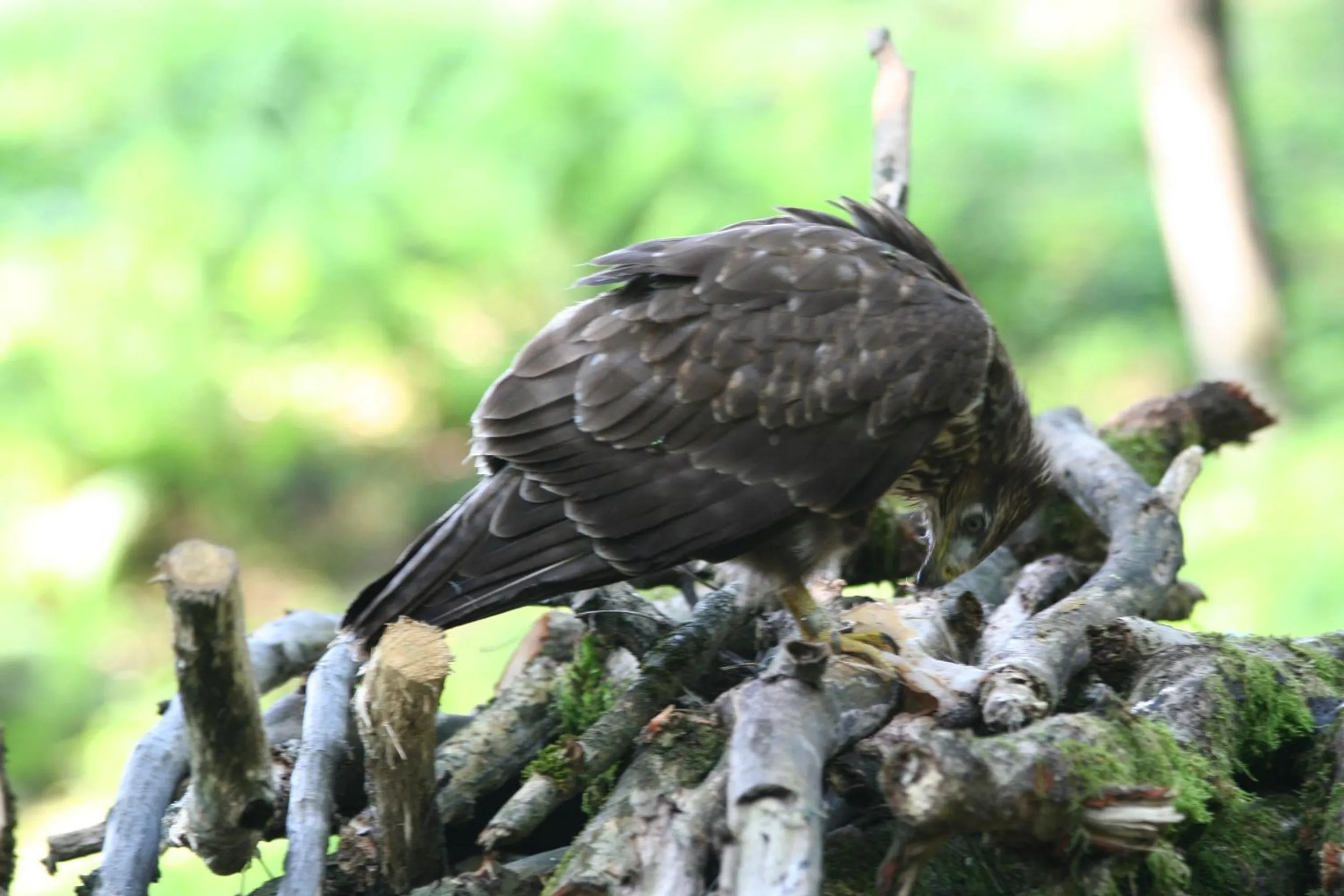 Day in B&B La Casa Di Campagna