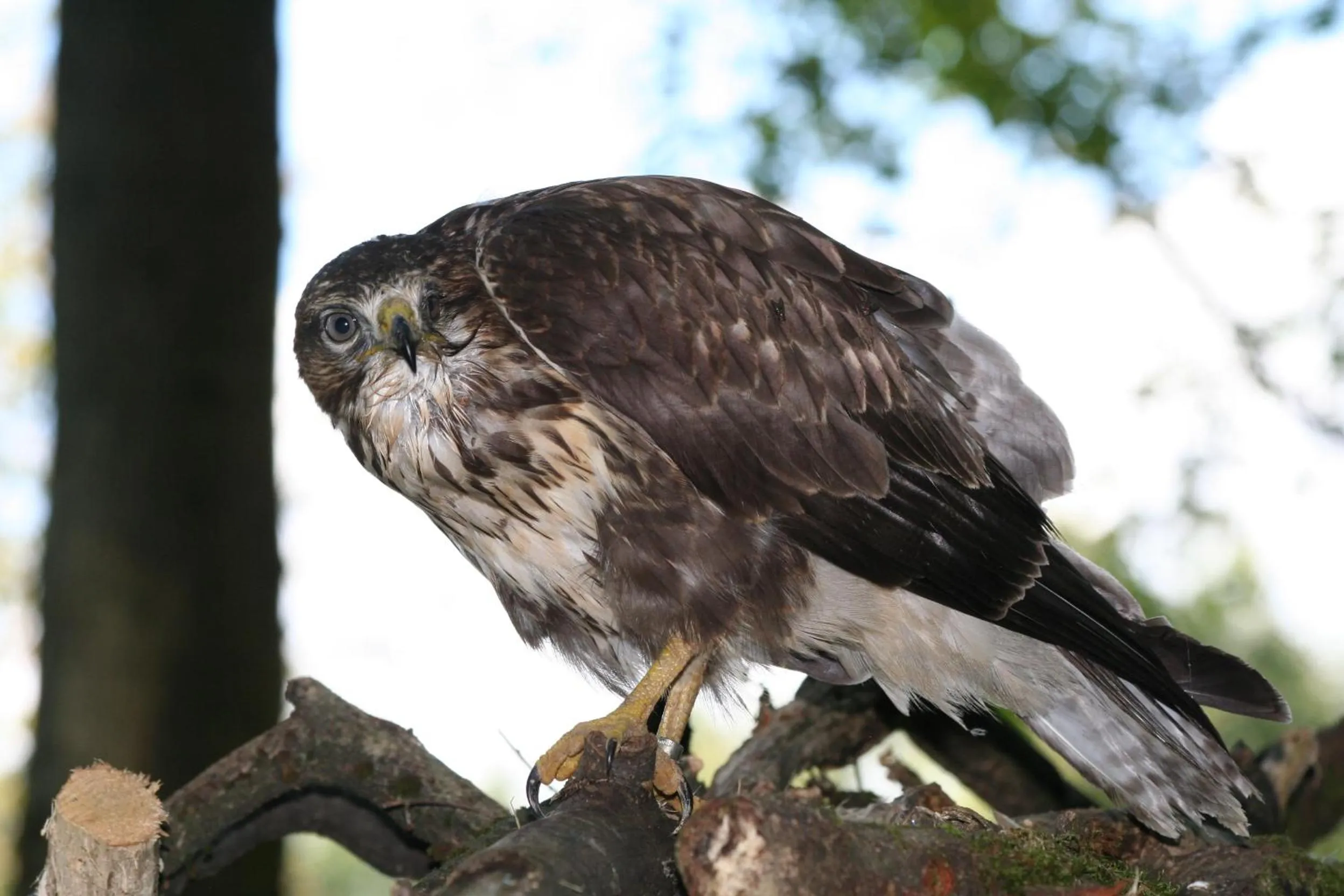 Day in B&B La Casa Di Campagna