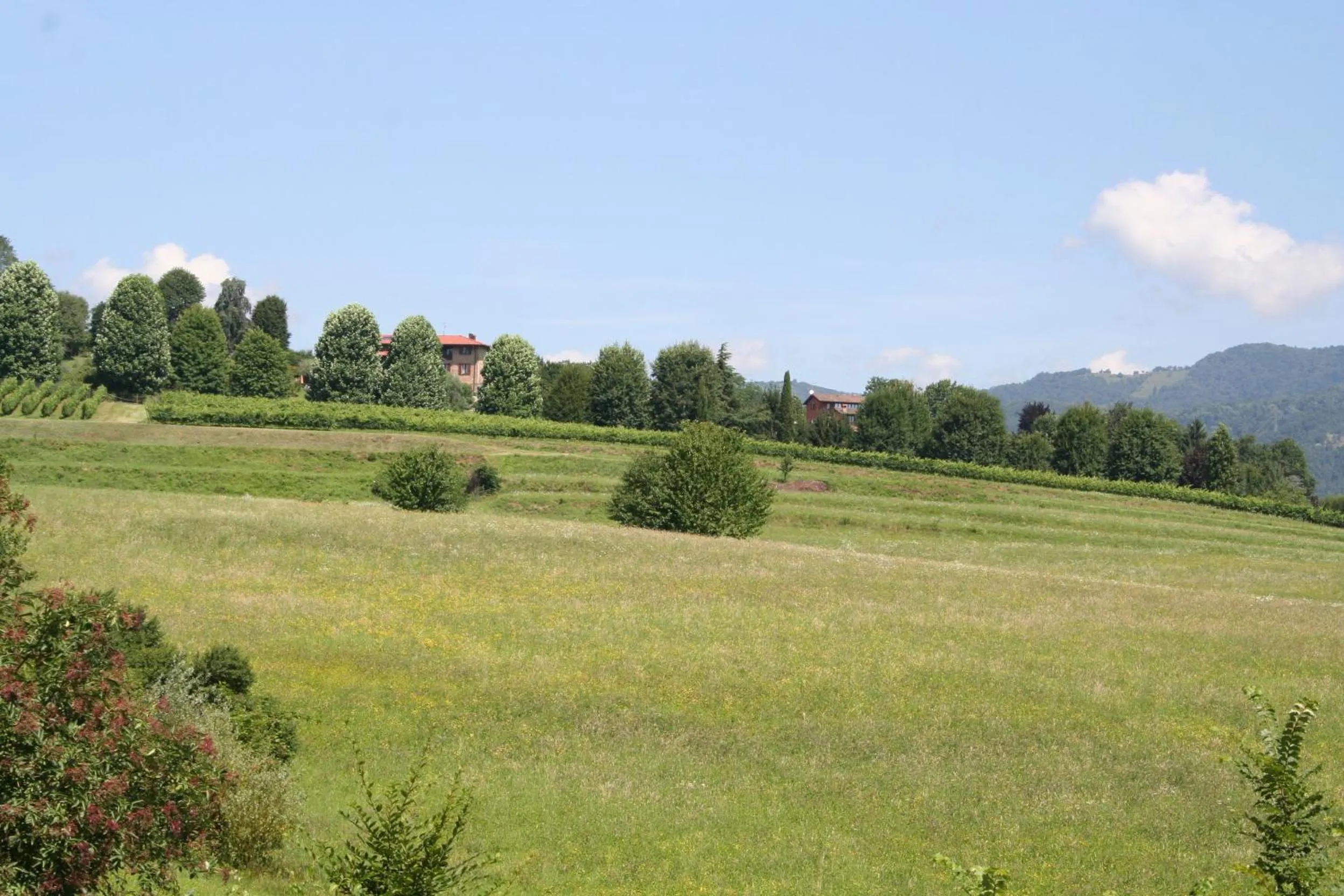 Garden in B&B La Casa Di Campagna