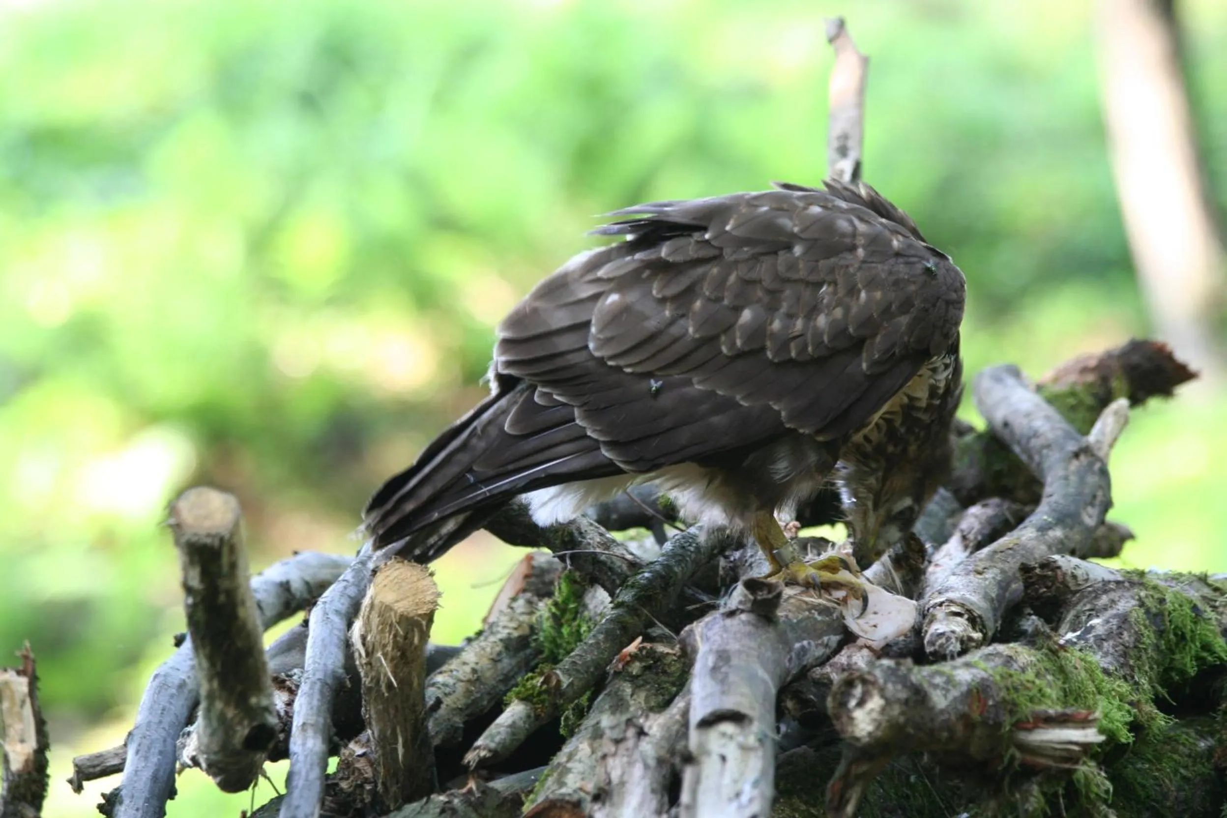 Day in B&B La Casa Di Campagna
