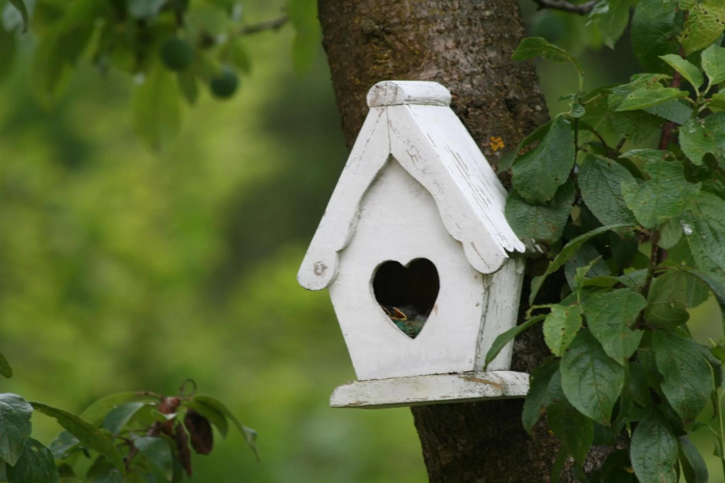 Decorative detail in B&B La Casa Di Campagna
