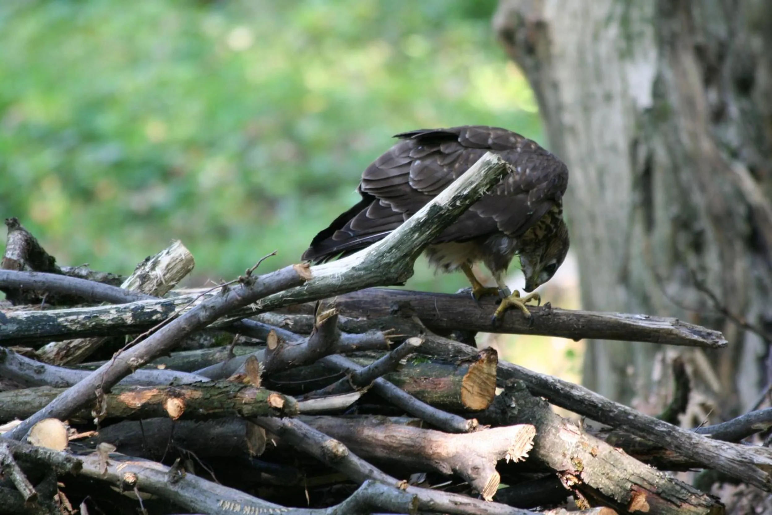 Day in B&B La Casa Di Campagna