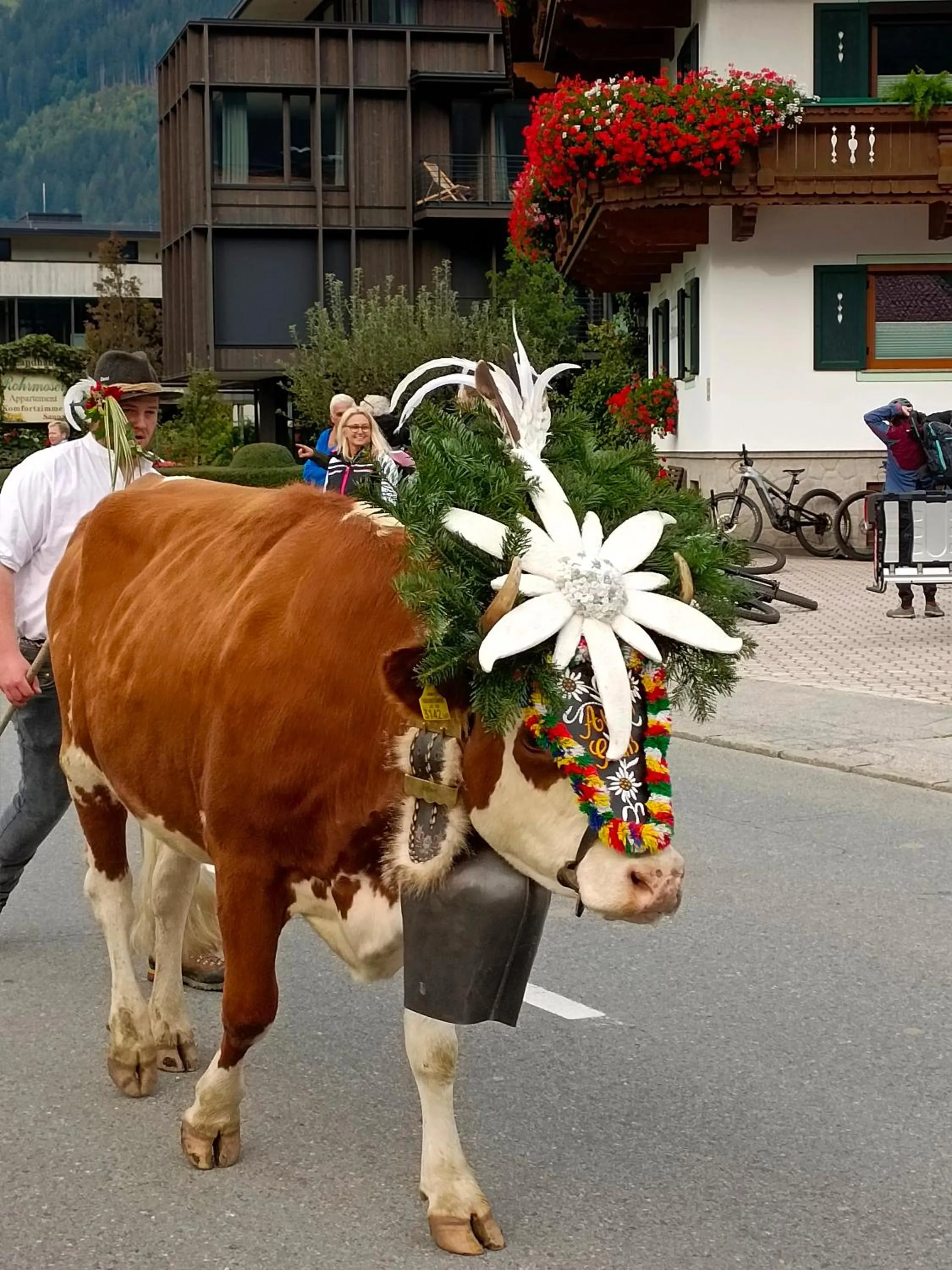 Animals in APPARTEMENT EBERHARTER Conny