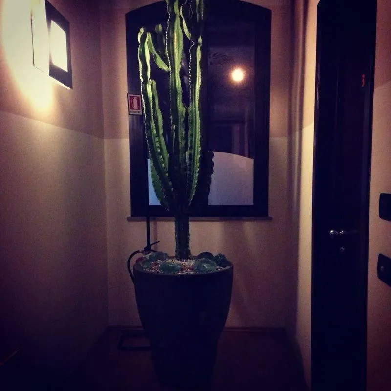 Other in Albergo Delle Industrie