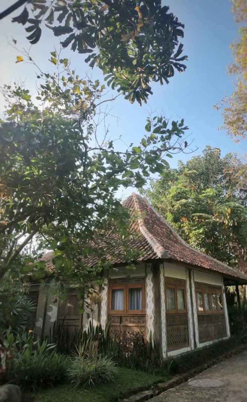 Sapulidi Cafe, Gallery & Resort