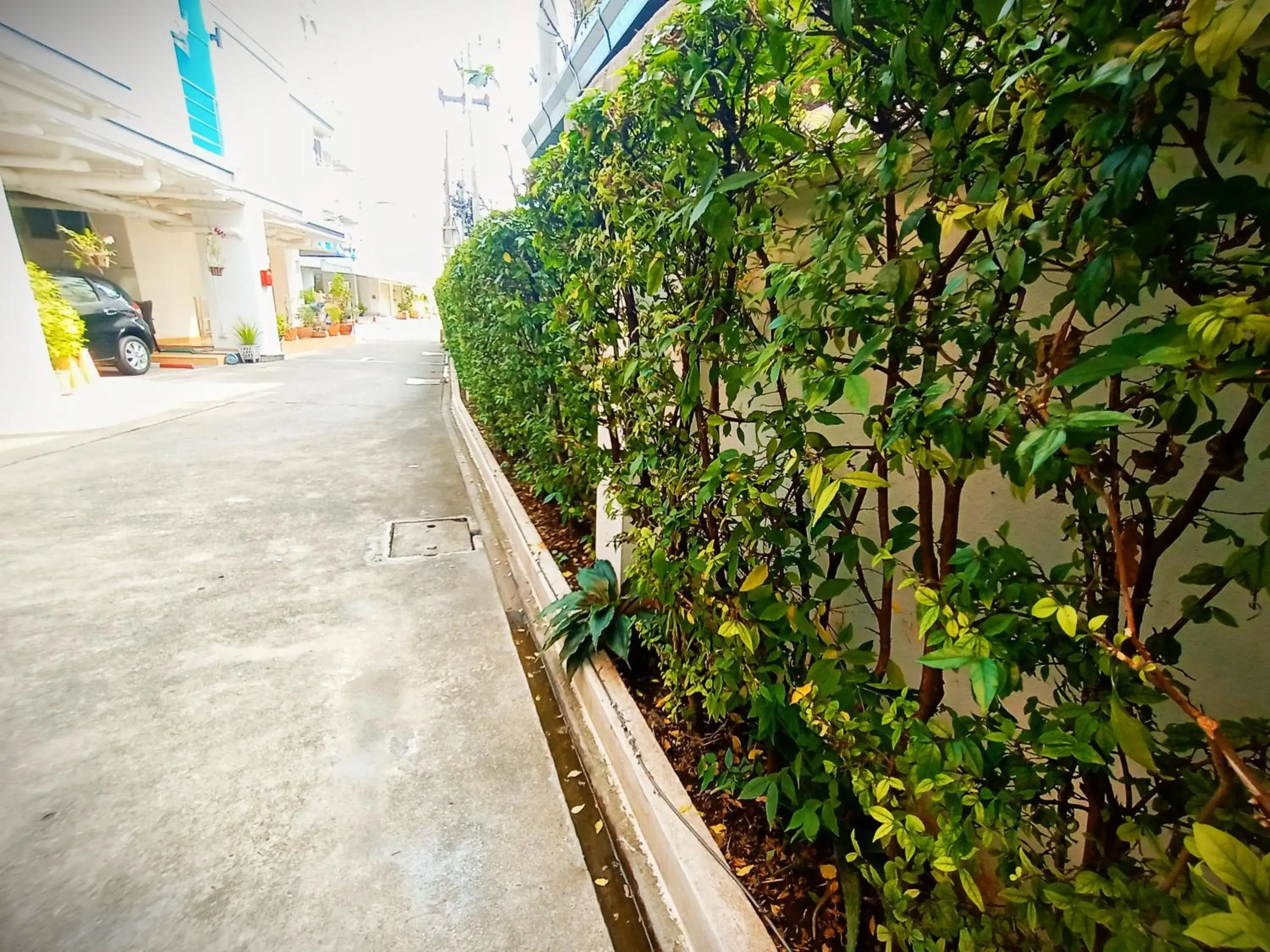 Neighbourhood in Common Living Neighbourhood in Common Living