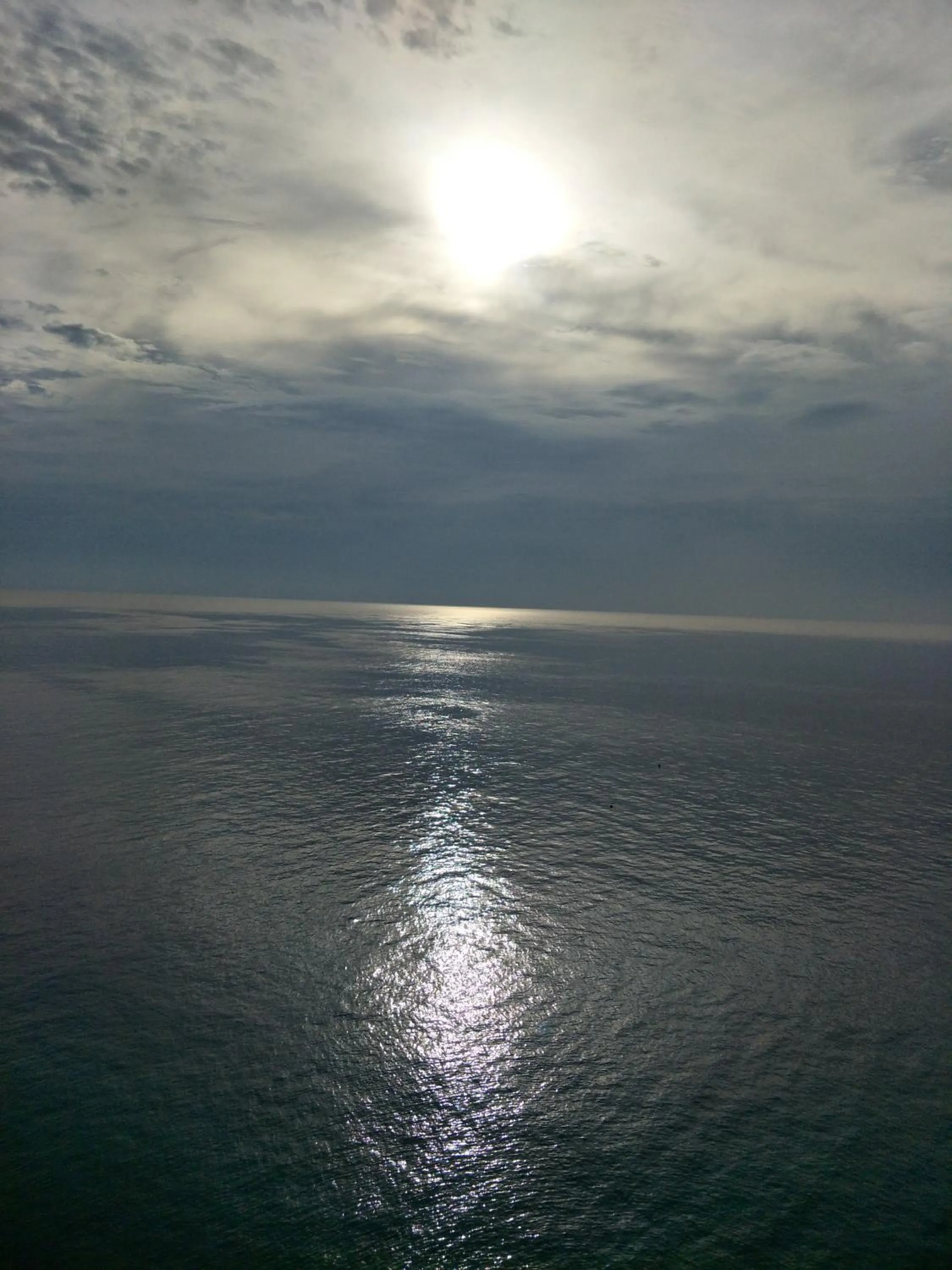 Natural landscape in Moondance Magic View Bungalow