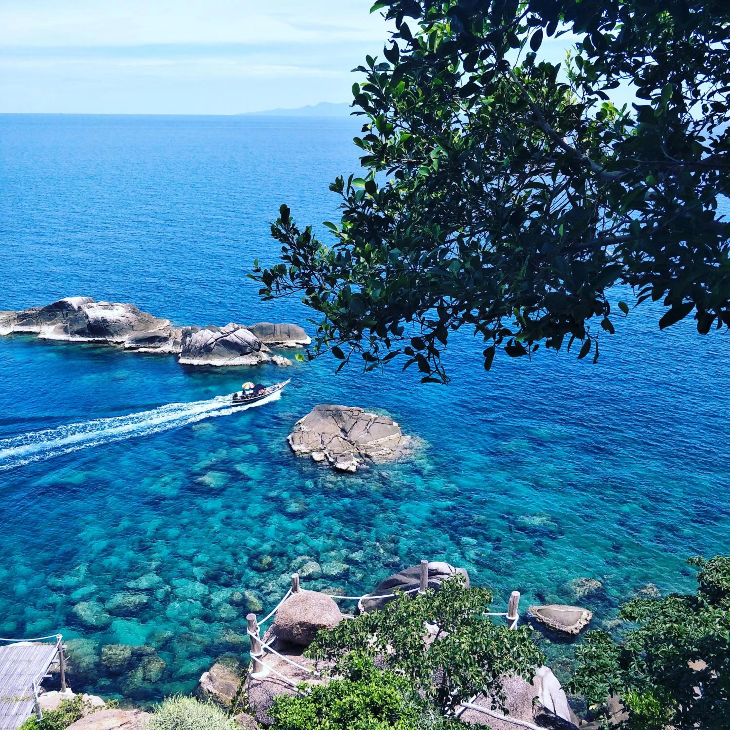 Natural landscape in Moondance Magic View Bungalow