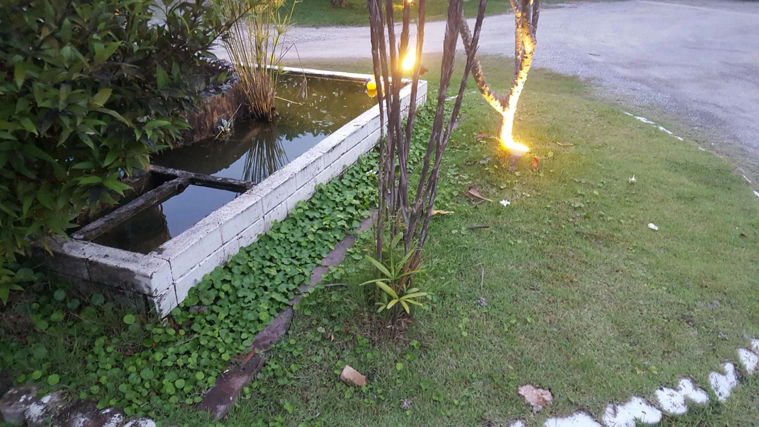 Green View Resort Tha Yang