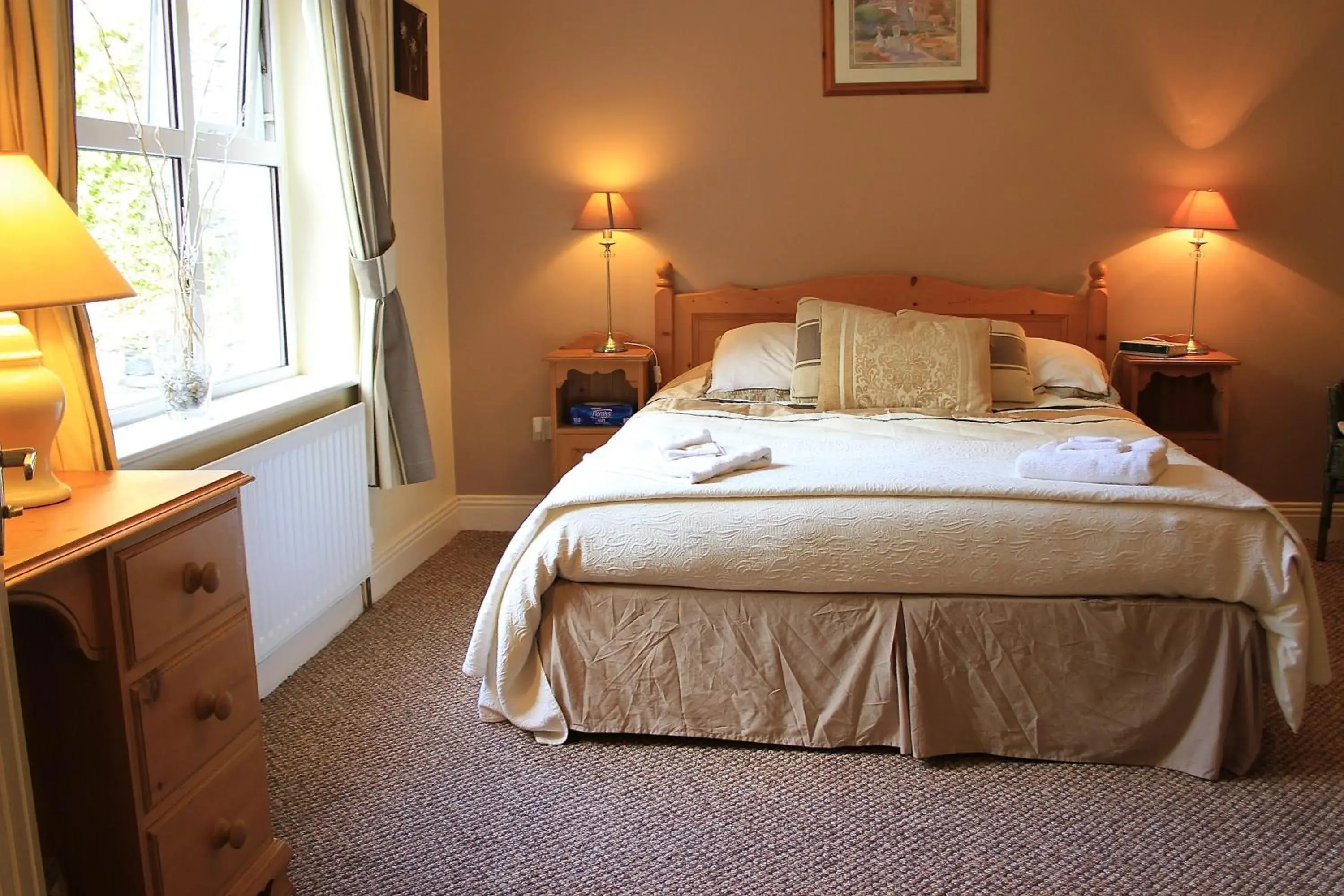 Double Room in Parkhouse B&B Double Room in Parkhouse B&B