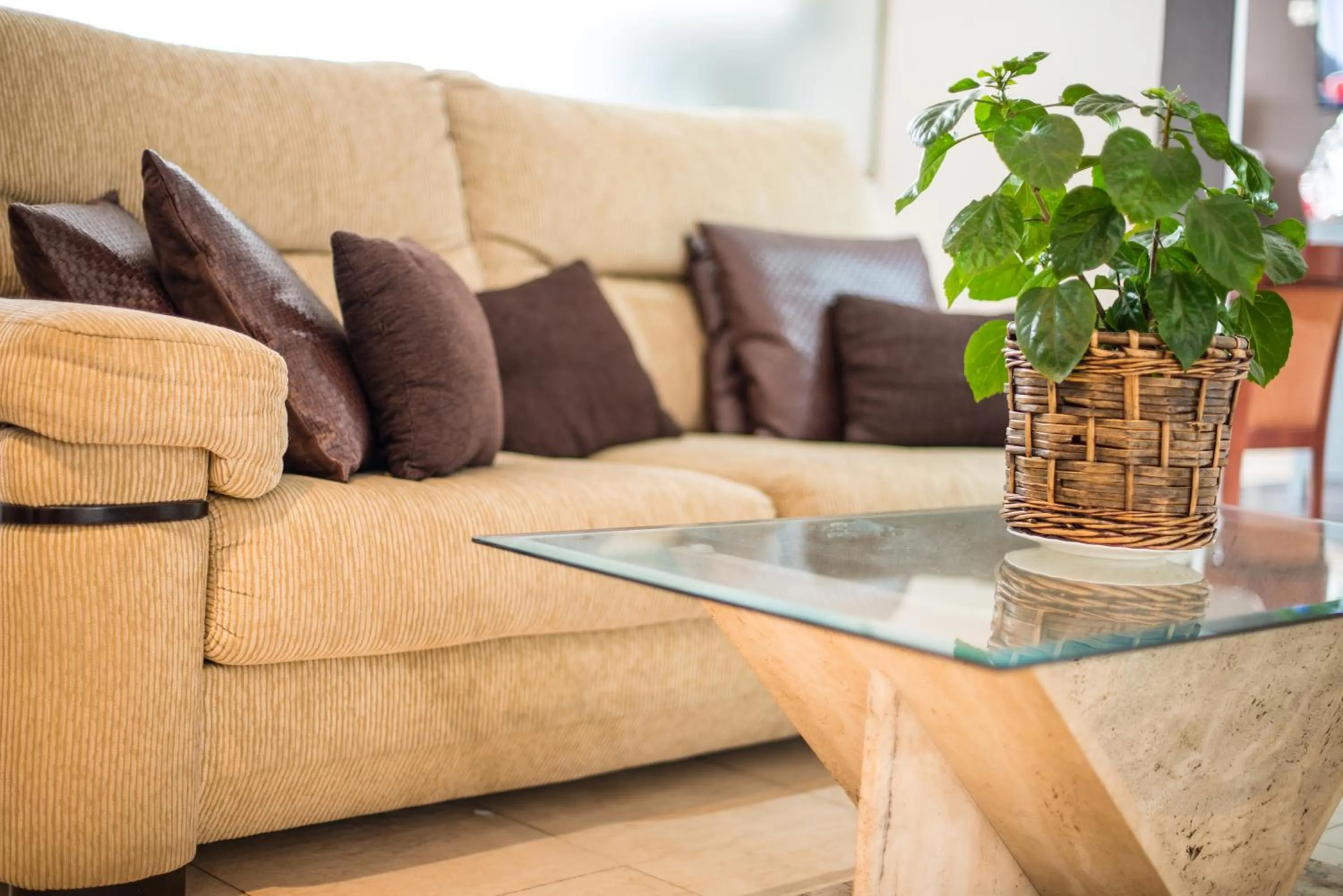 Lobby or reception in Hotel Prado Real