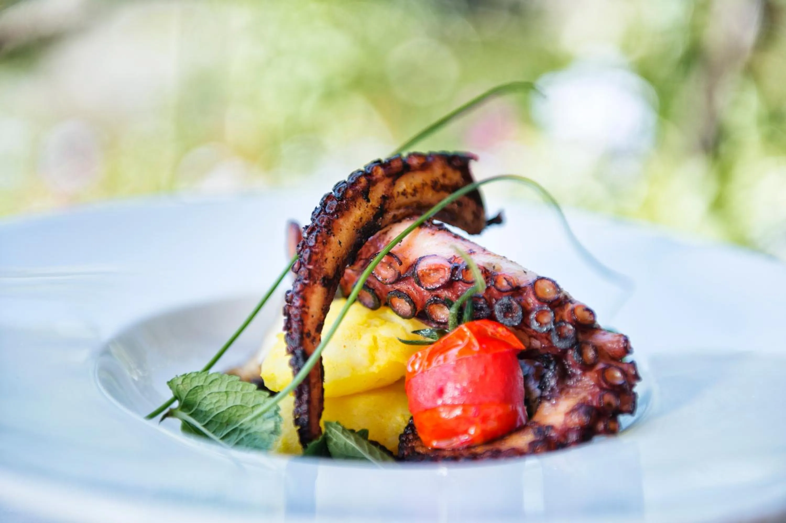 Restaurant/places to eat in Grand Hotel Il Ninfeo