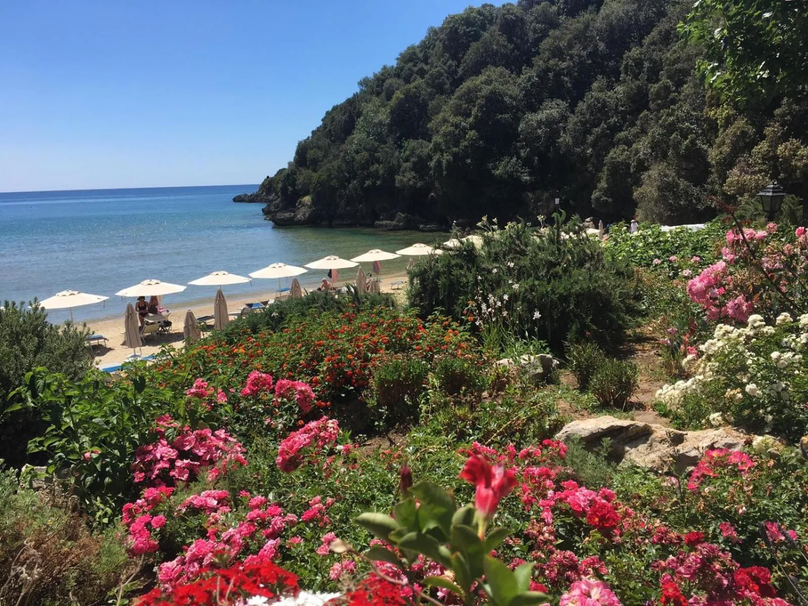 Garden in Grand Hotel Il Ninfeo