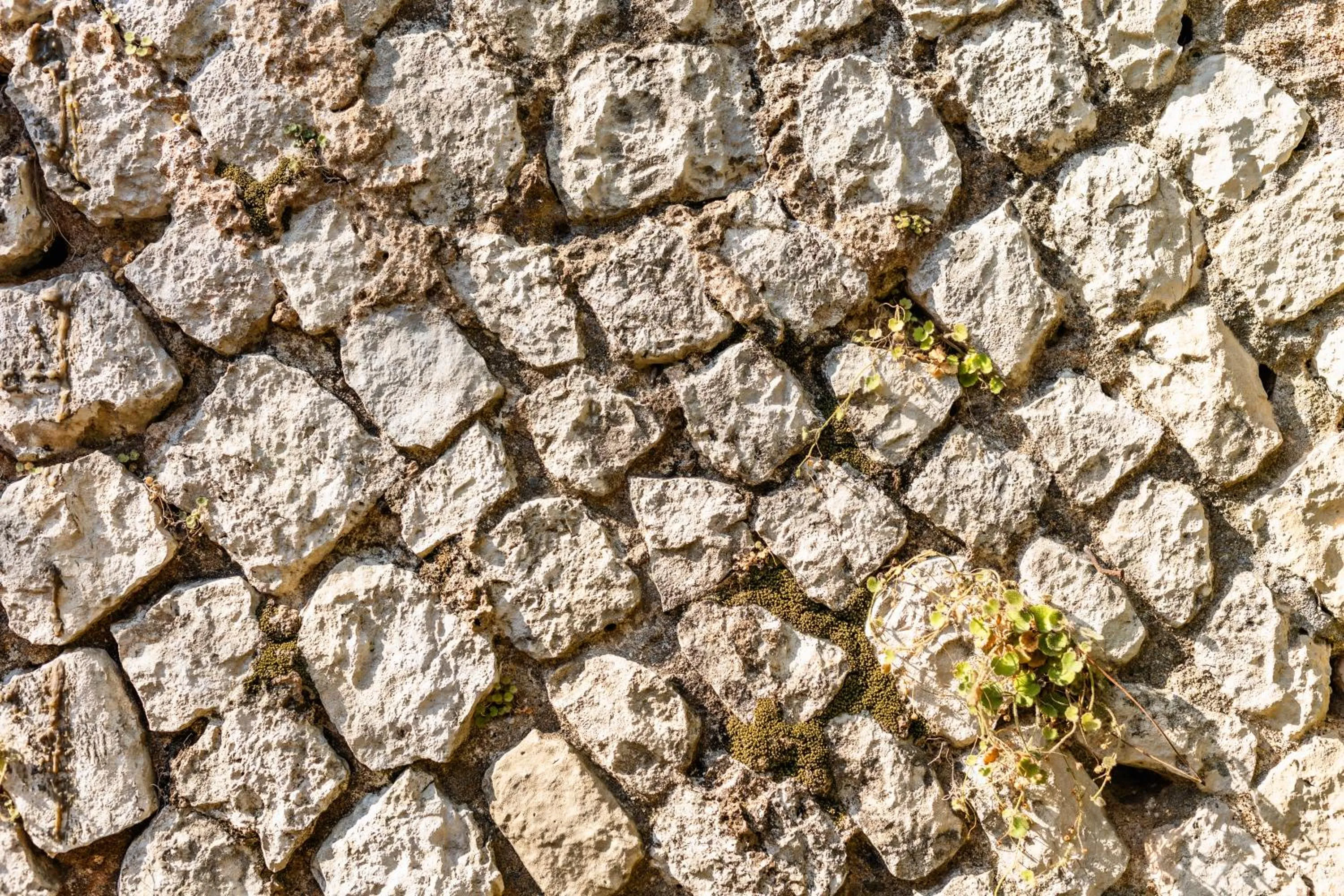 Garden view in Grand Hotel Il Ninfeo