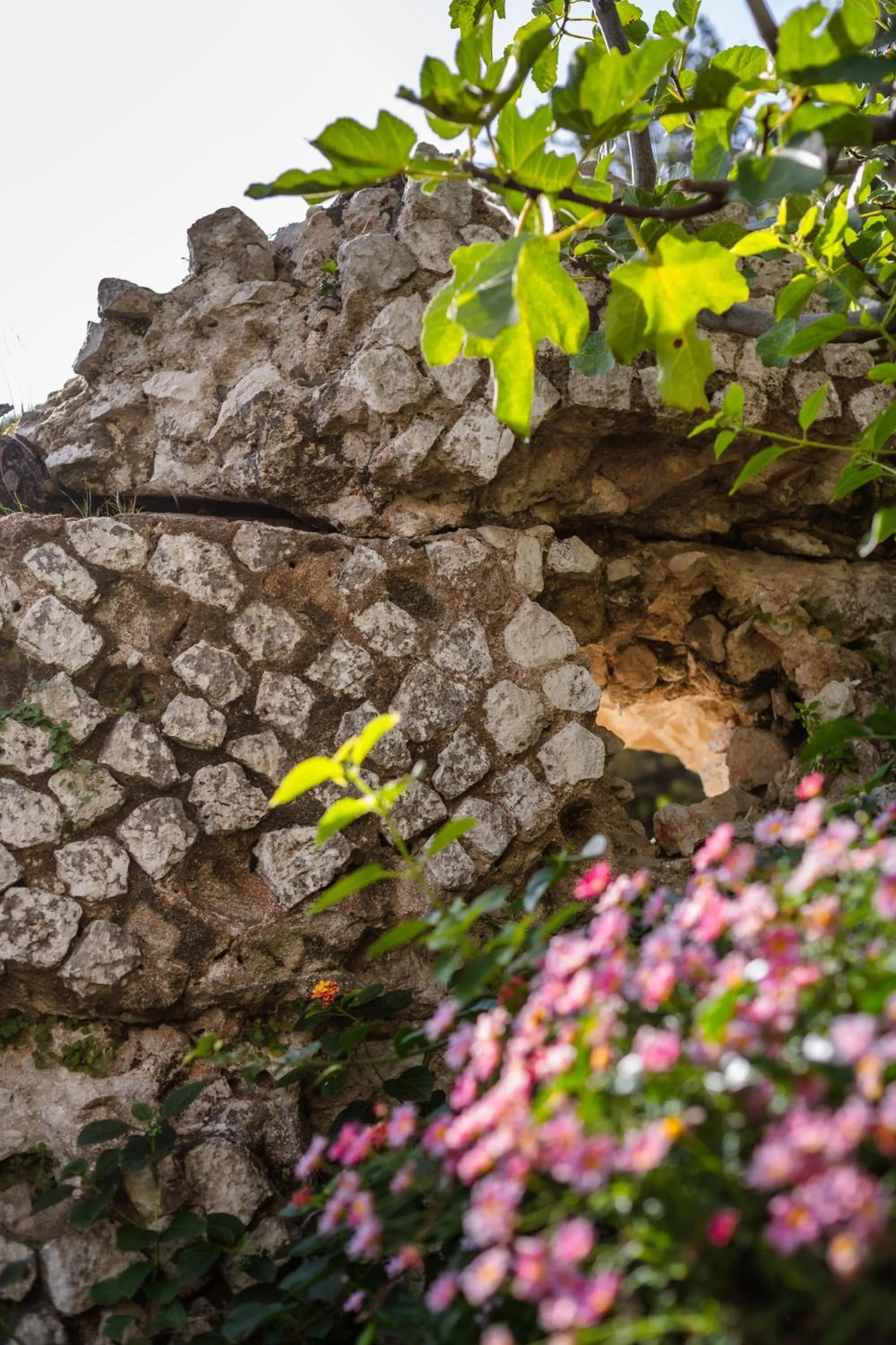 Garden in Grand Hotel Il Ninfeo