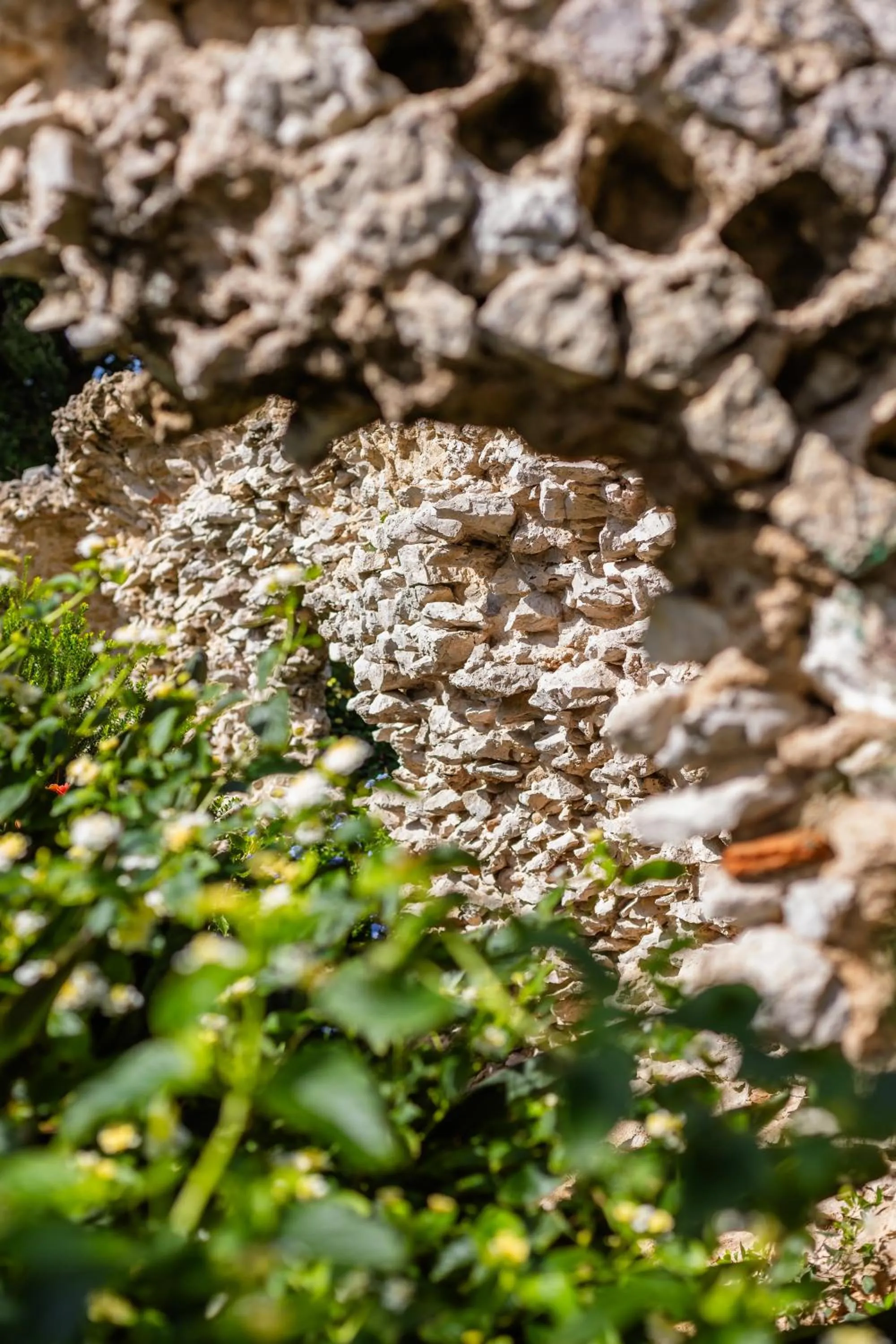 Garden in Grand Hotel Il Ninfeo