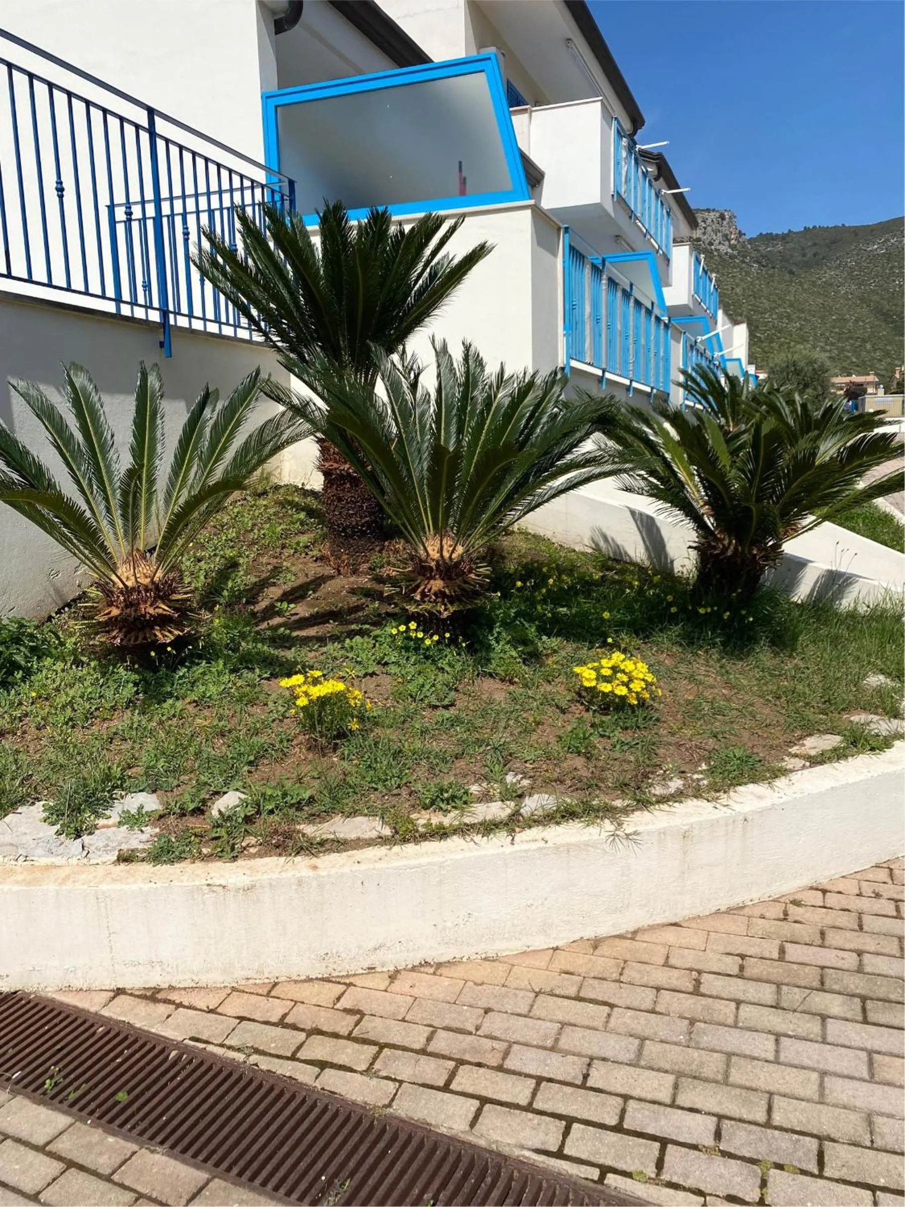 Garden view in Residenza Le Spiagge