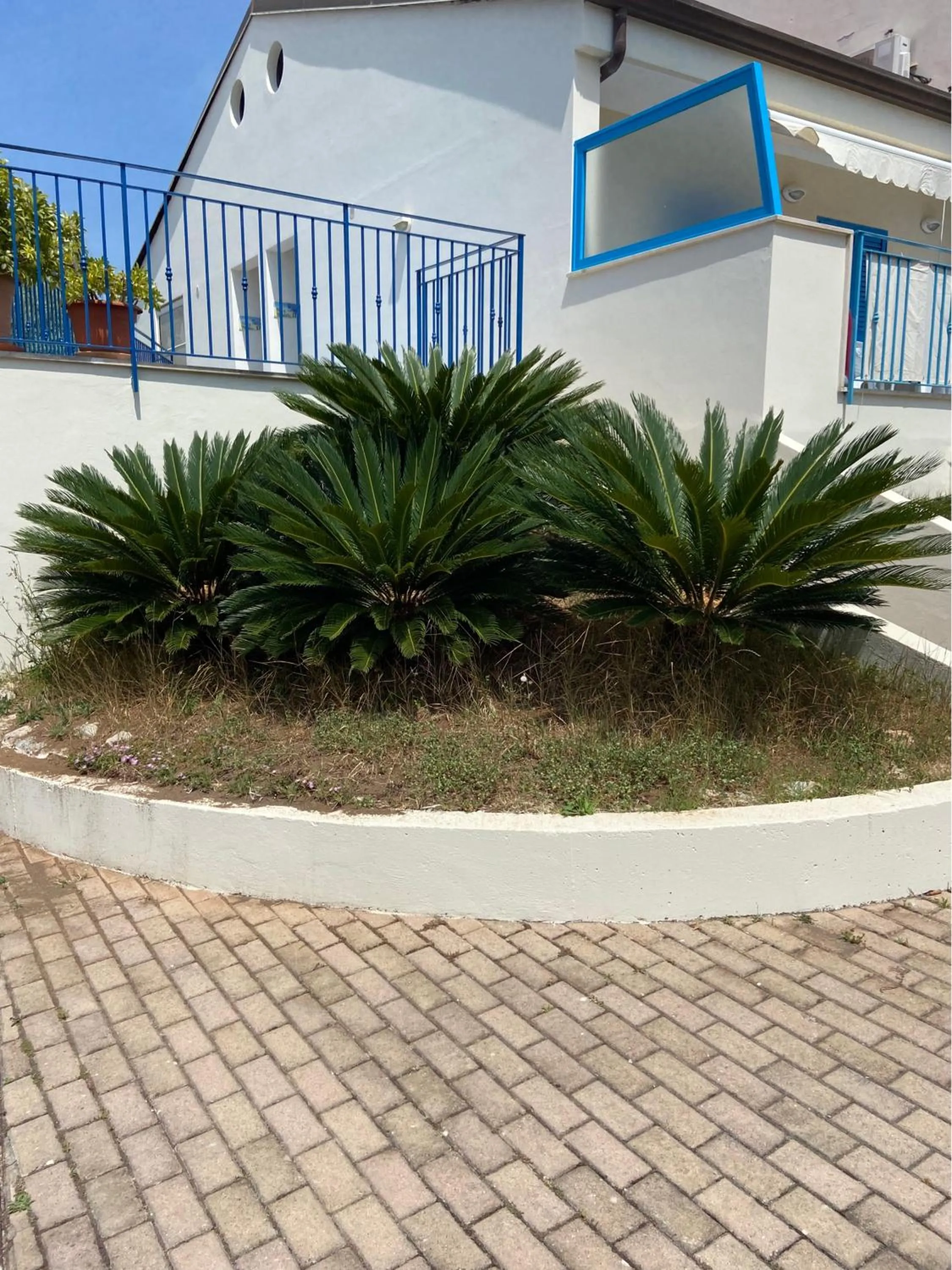 Garden view in Residenza Le Spiagge