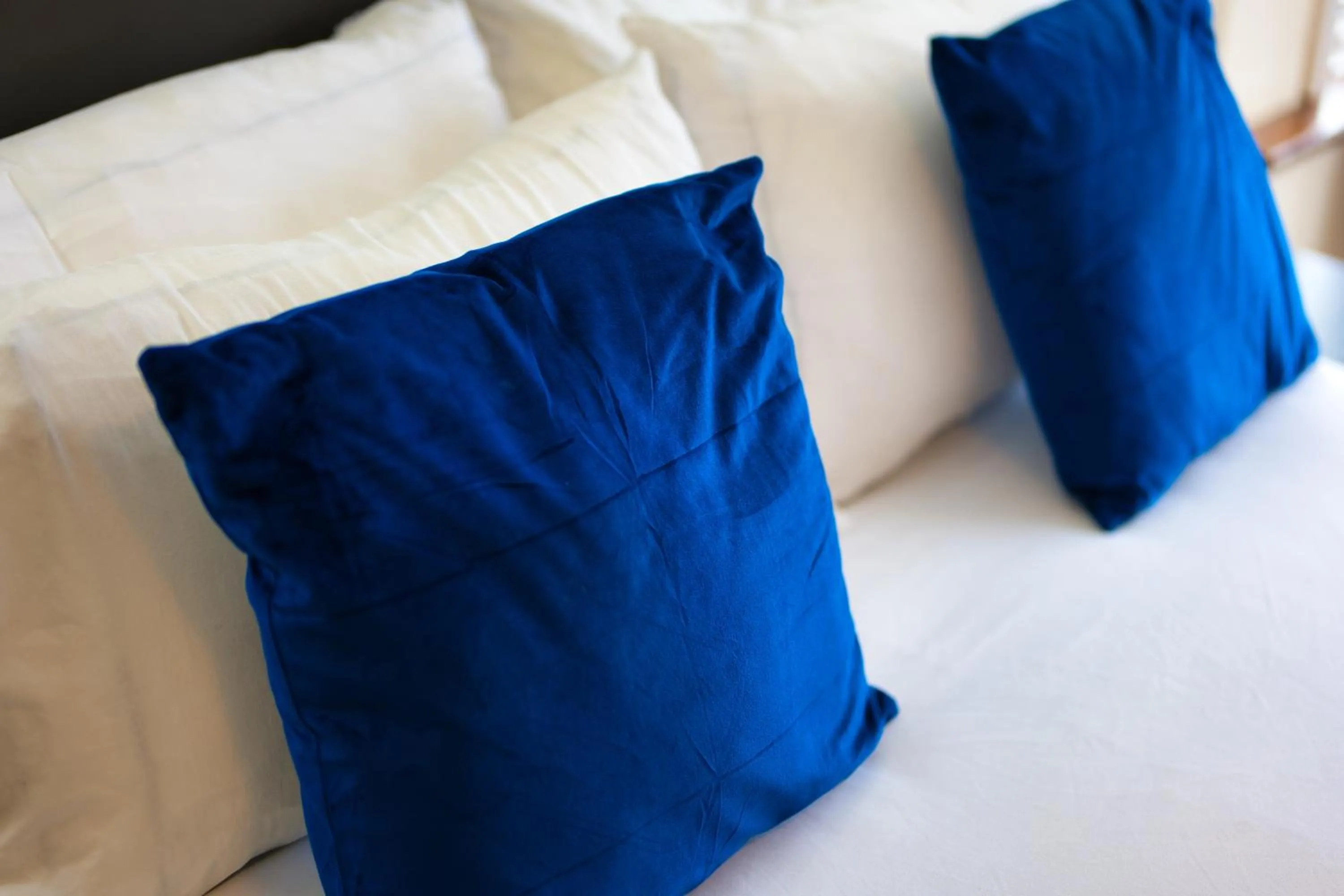 Bed in Clifton House Brighton