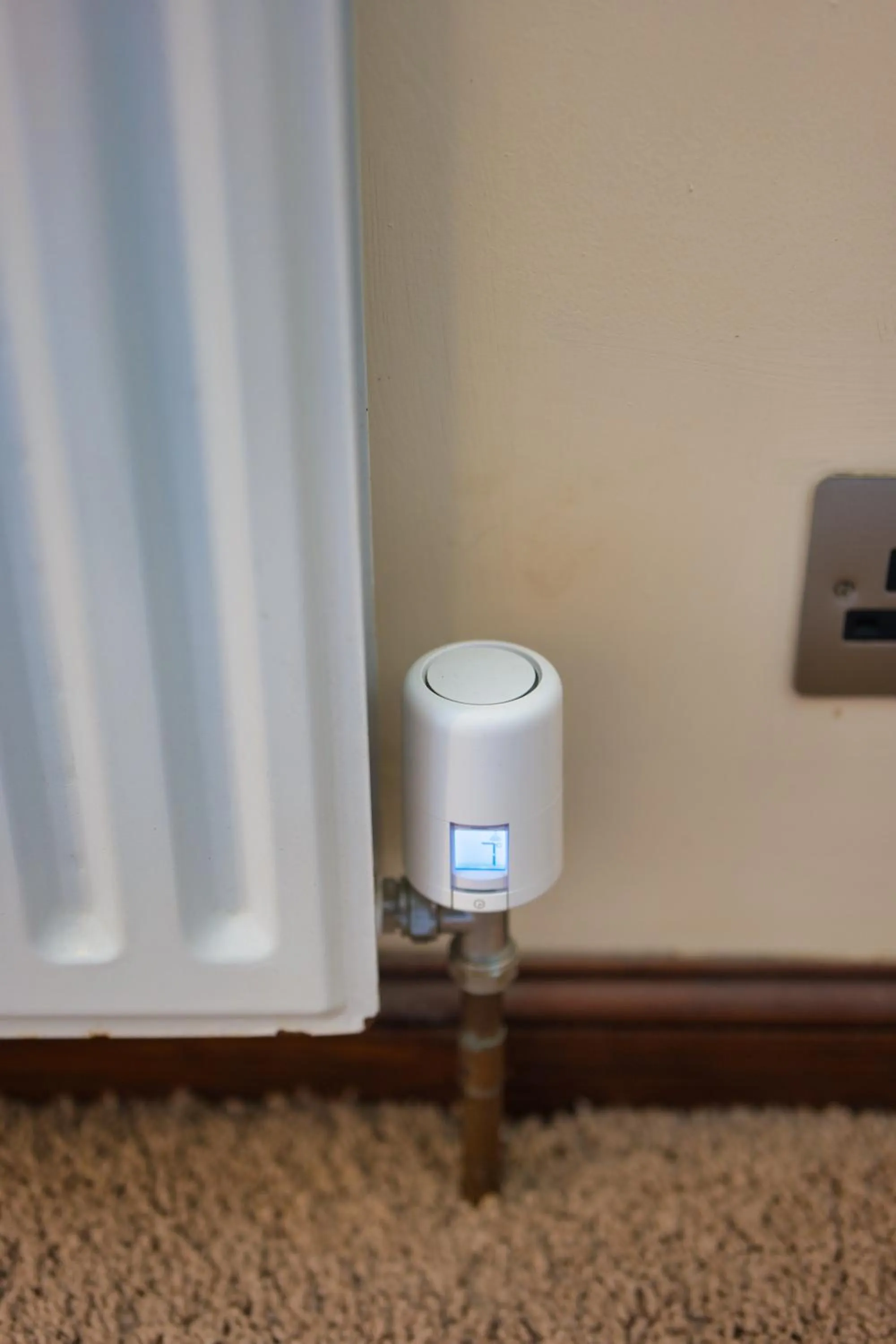 Bedroom in Clifton House Brighton