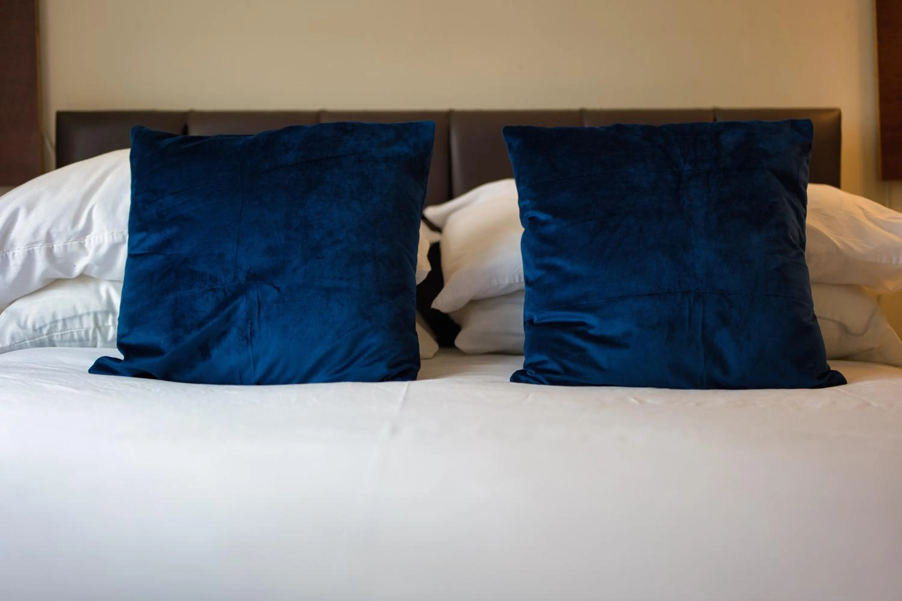 Bed in Clifton House Brighton