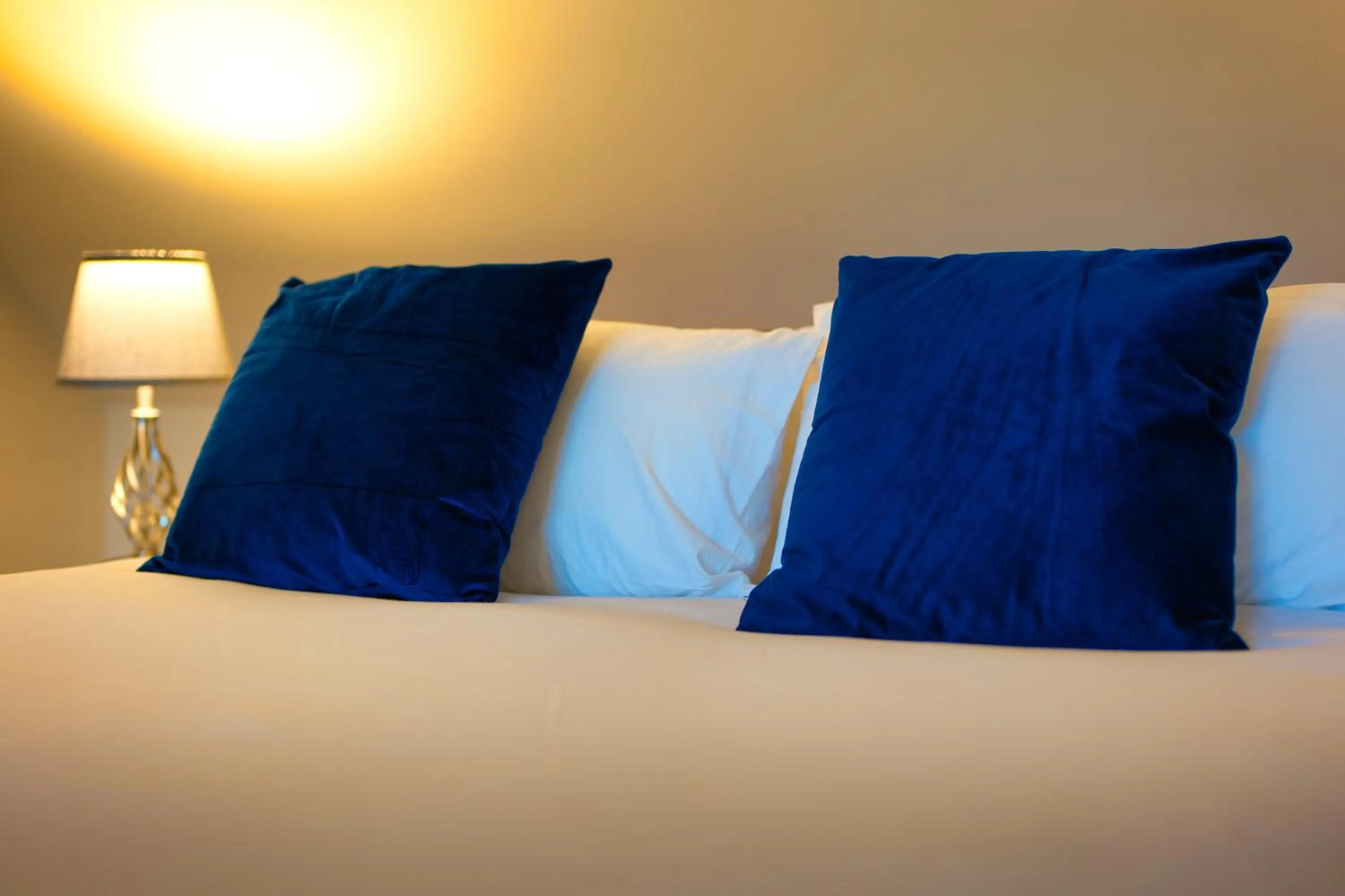 Bed in Clifton House Brighton