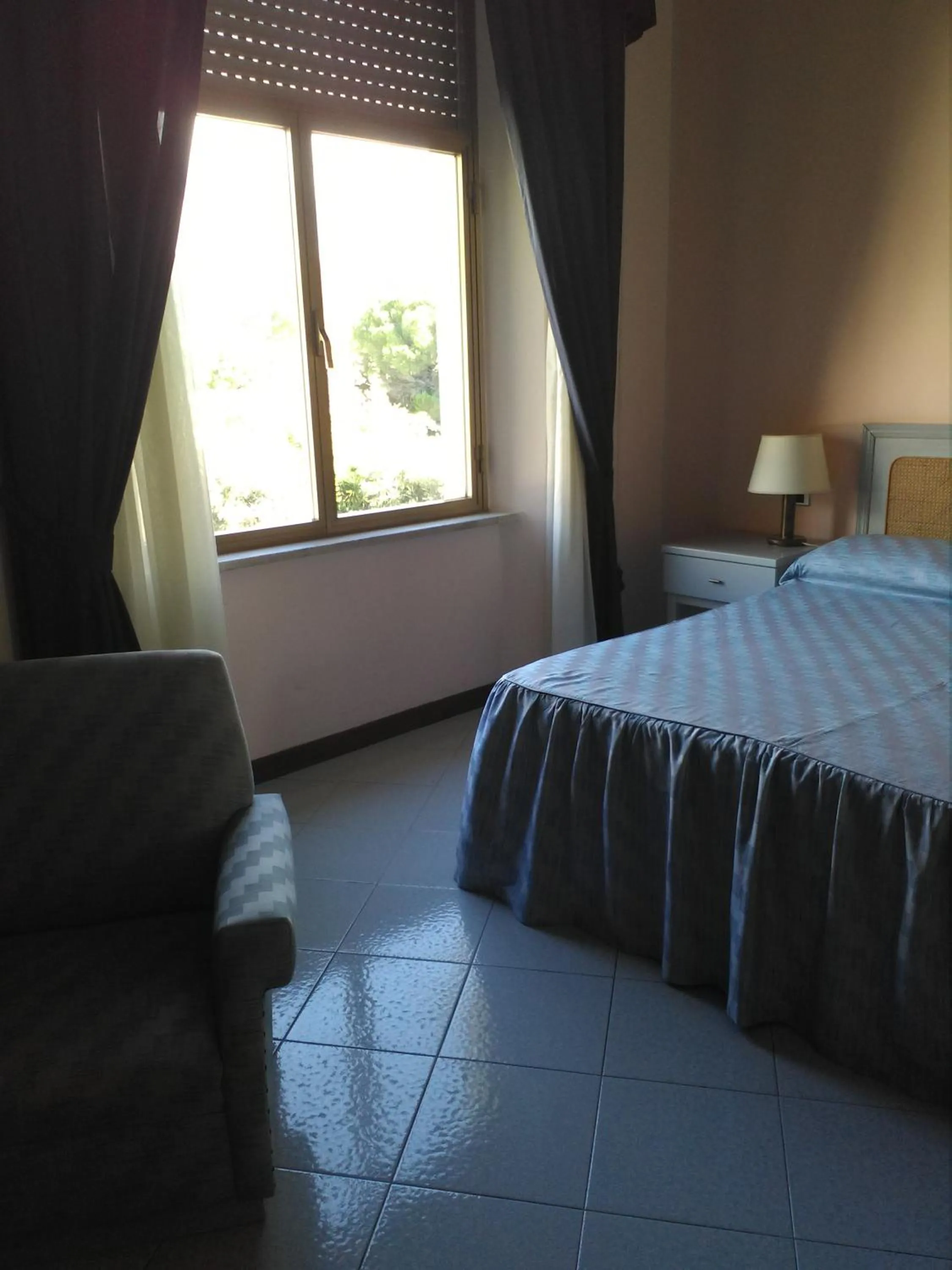 Double Room in Grand Hotel Fagiano Palace
