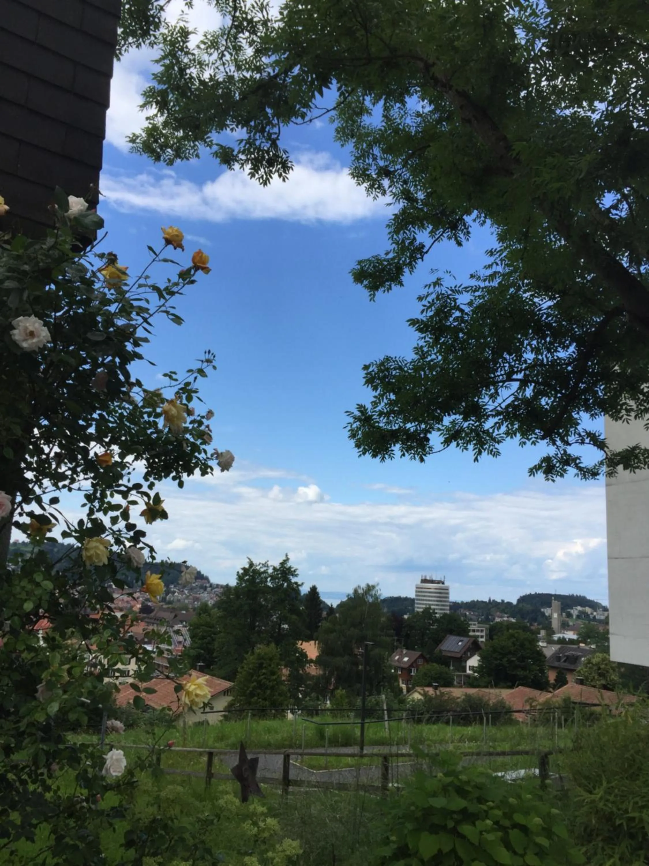 Garden in St. Gallen Youth Hostel