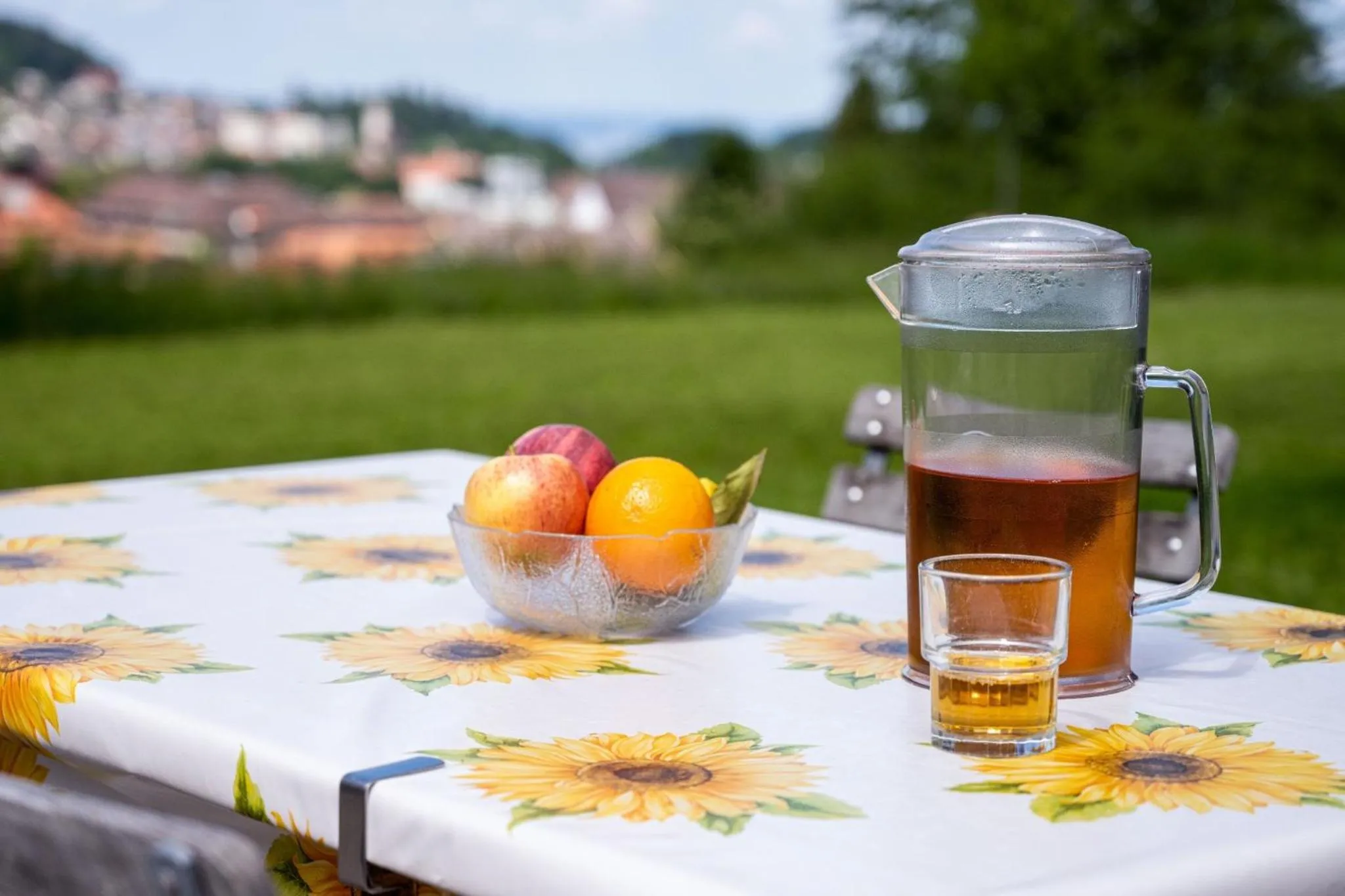 Garden in St. Gallen Youth Hostel