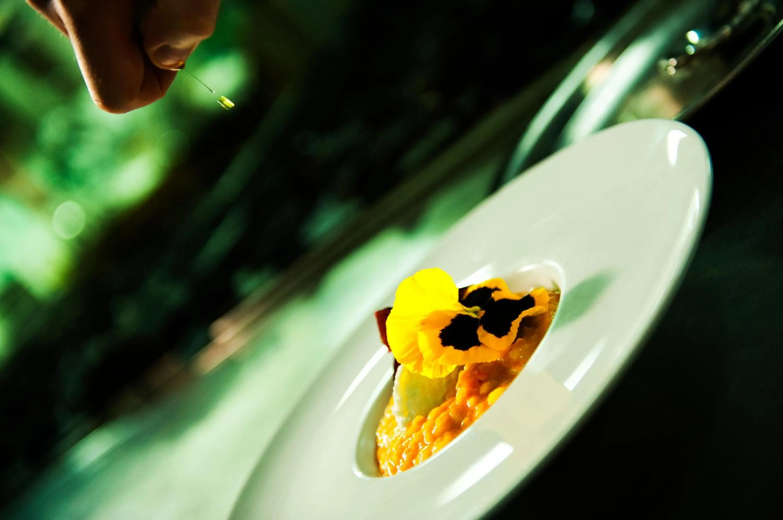 Restaurant/places to eat in Grande Albergo Miramare