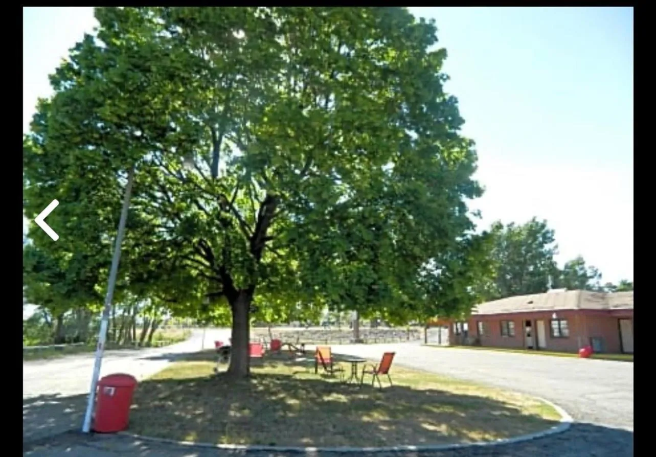 Prospector Motor Lodge