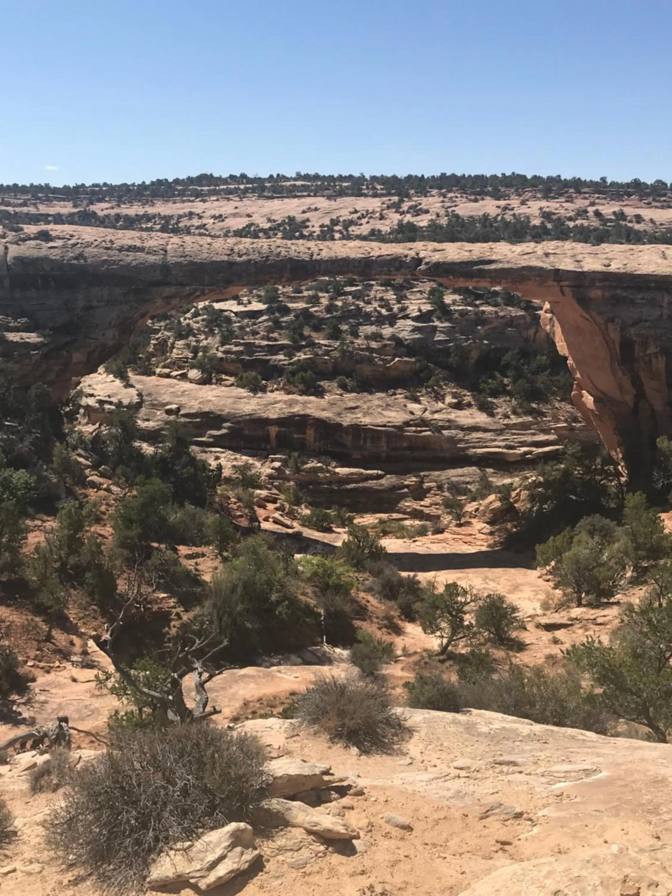 Prospector Motor Lodge