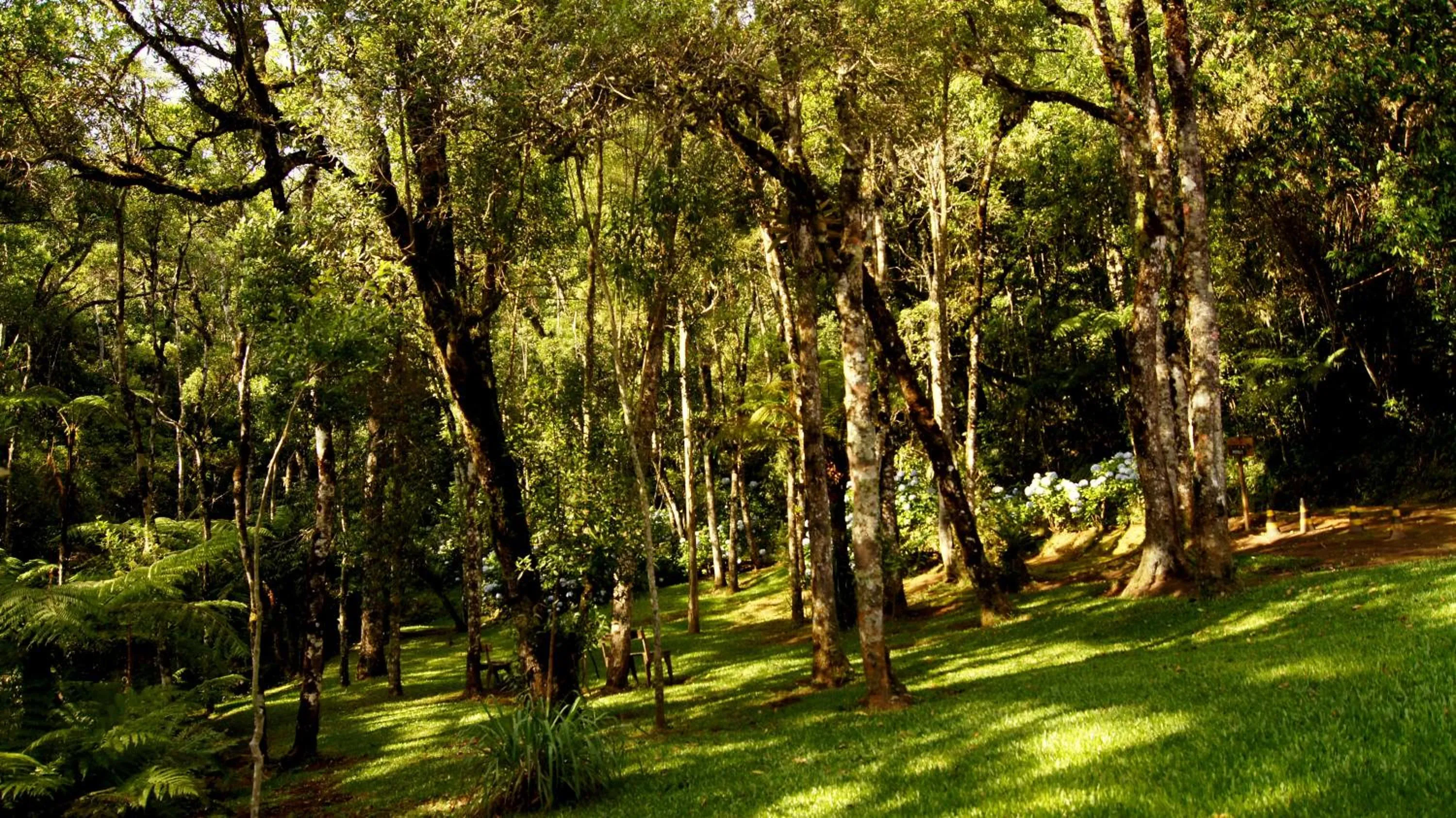 Natural landscape in Estalagem Spiller