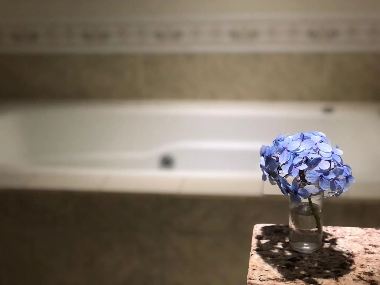 Bath in Estalagem Spiller