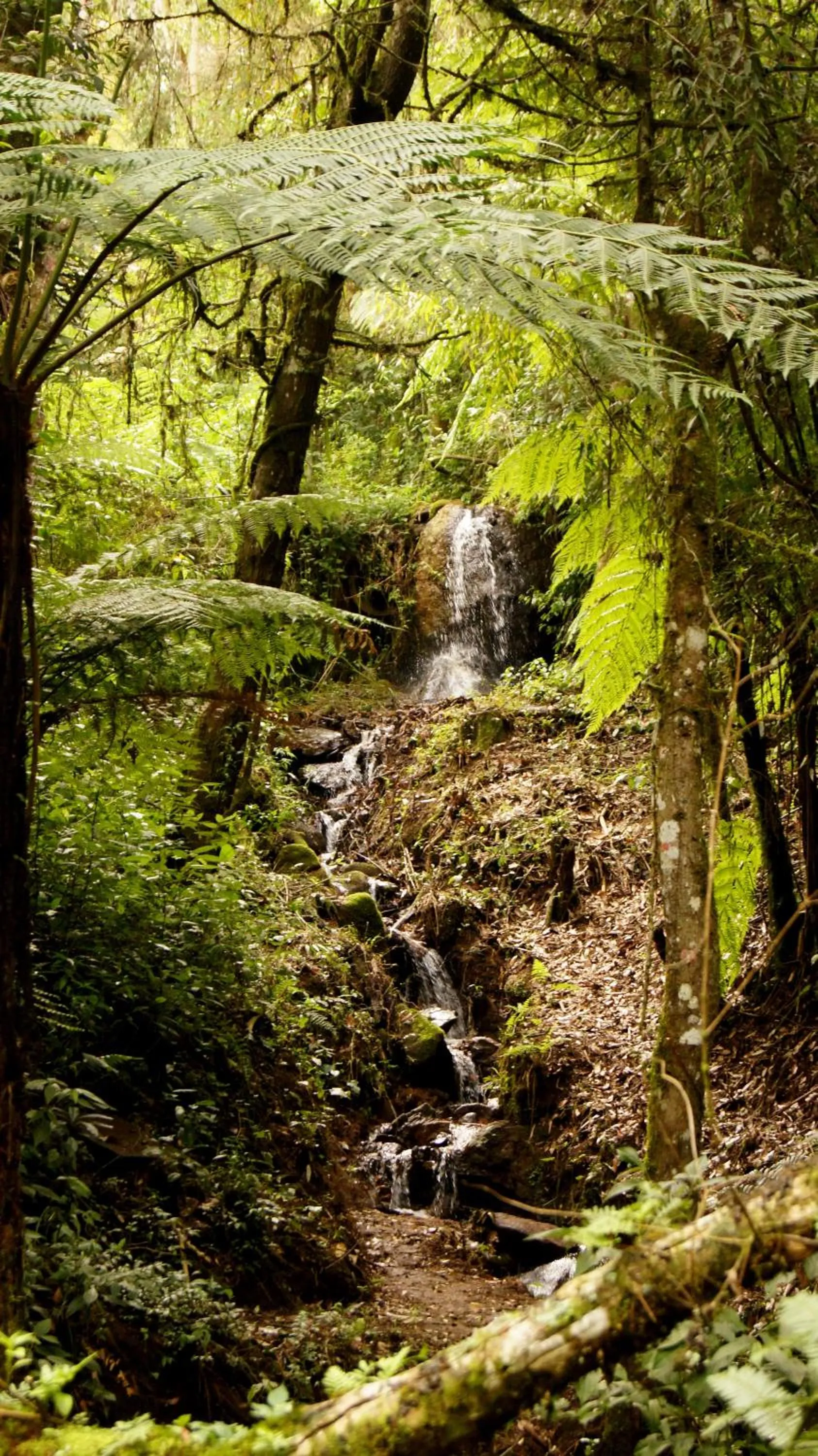 Natural landscape in Estalagem Spiller
