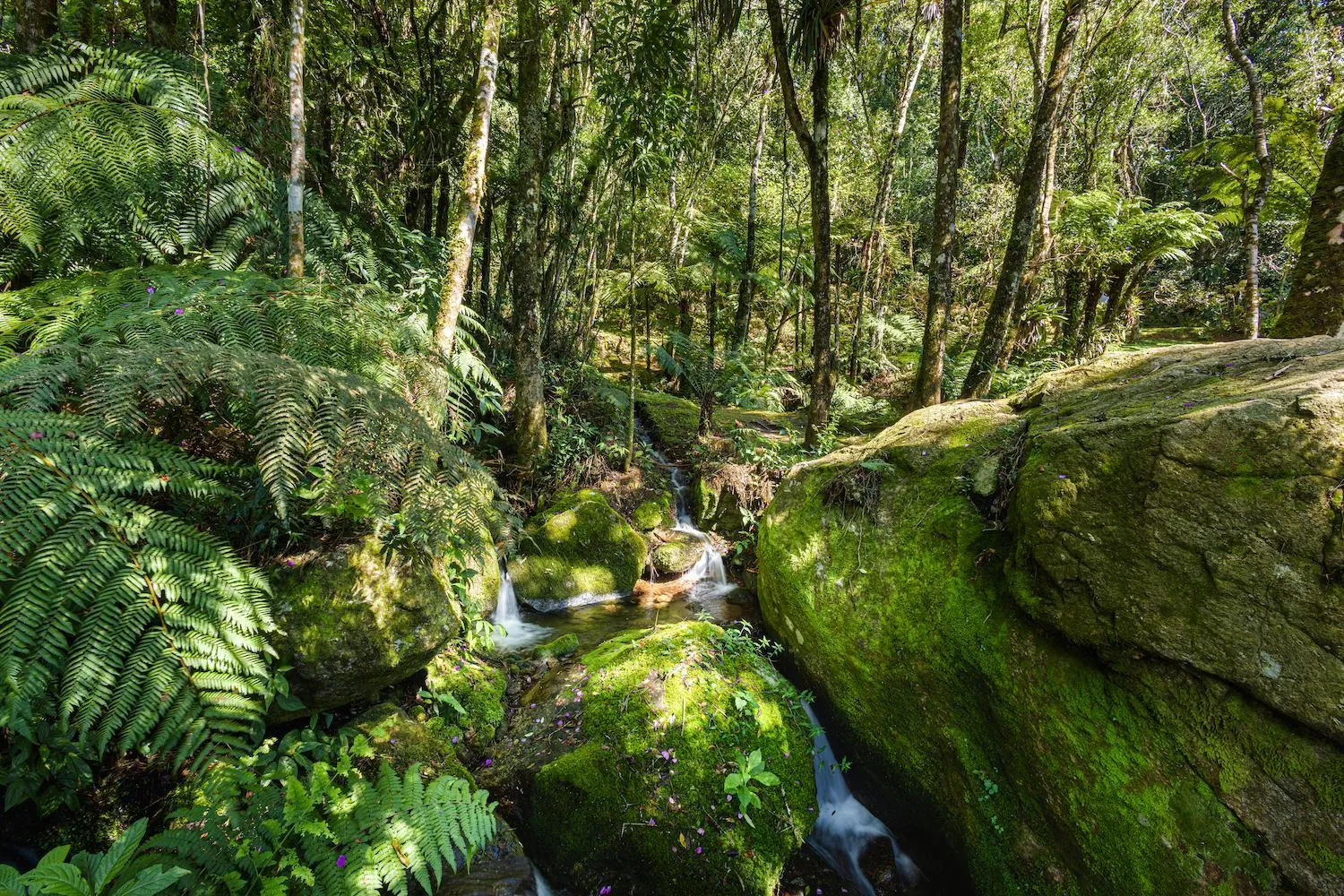 Garden in Estalagem Spiller