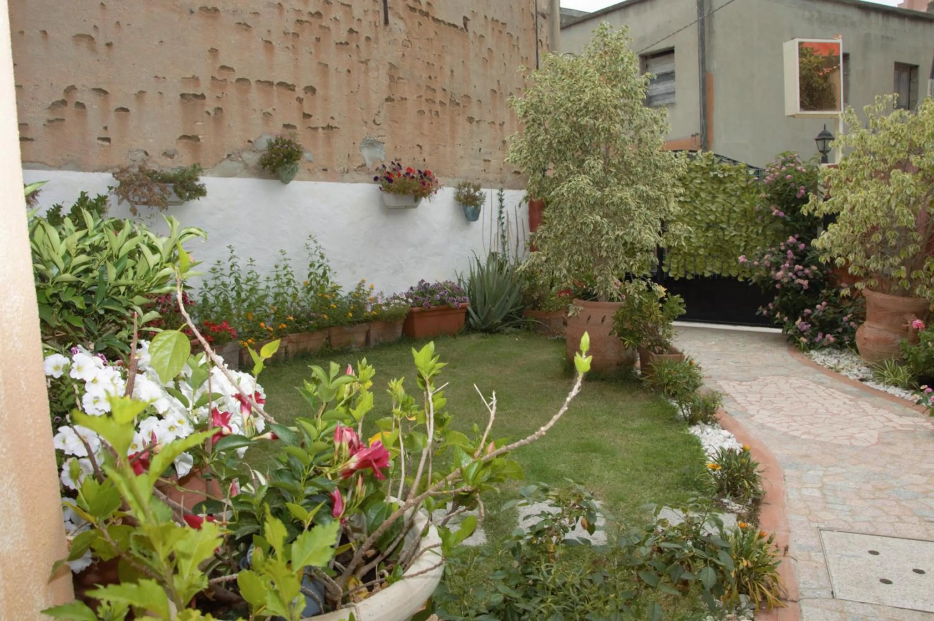 Garden in Hotel Sa Cralla Villasimius