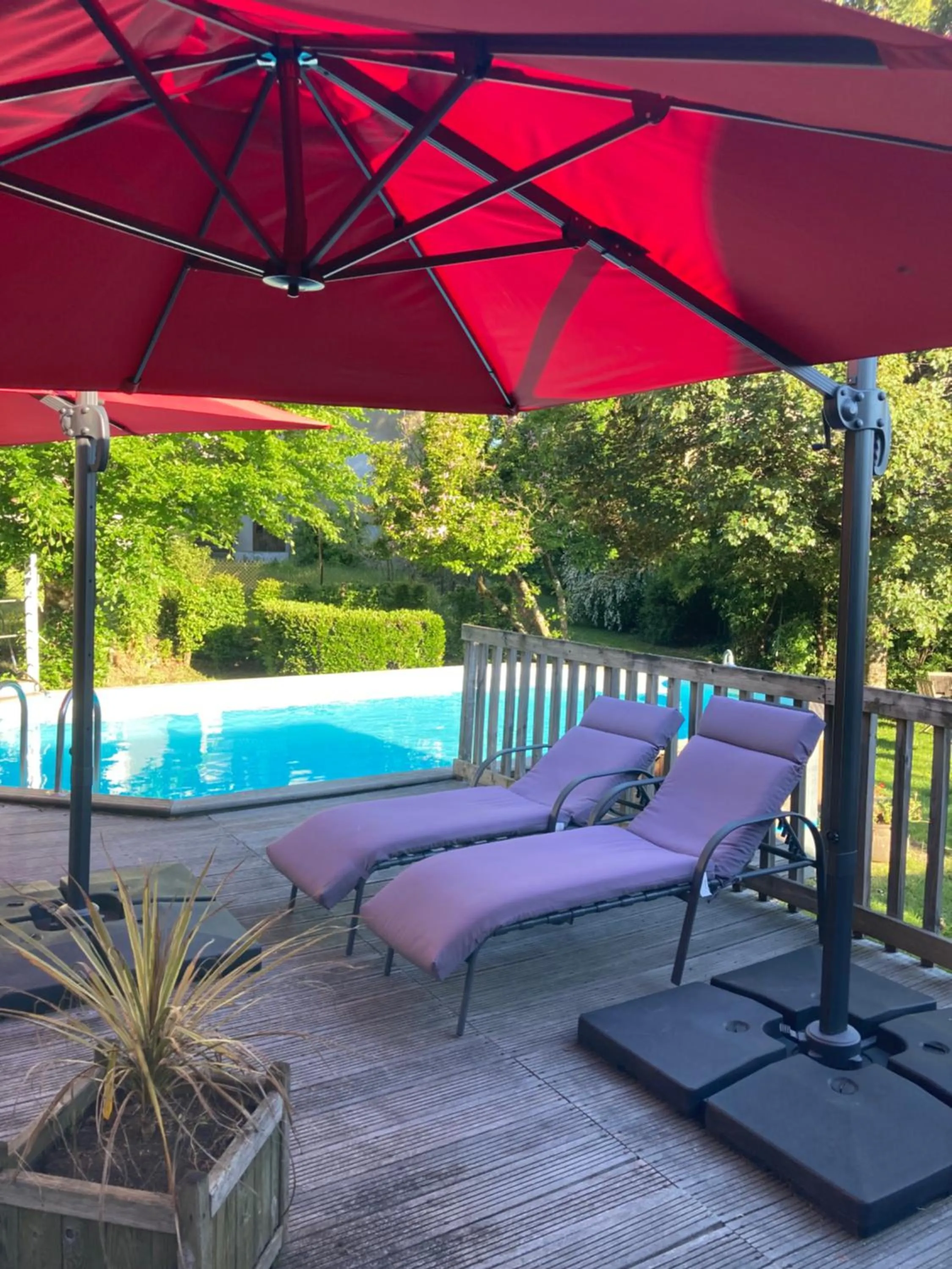 Swimming pool in Logis Hôtel Restaurant Gilles Moreau Laguiole