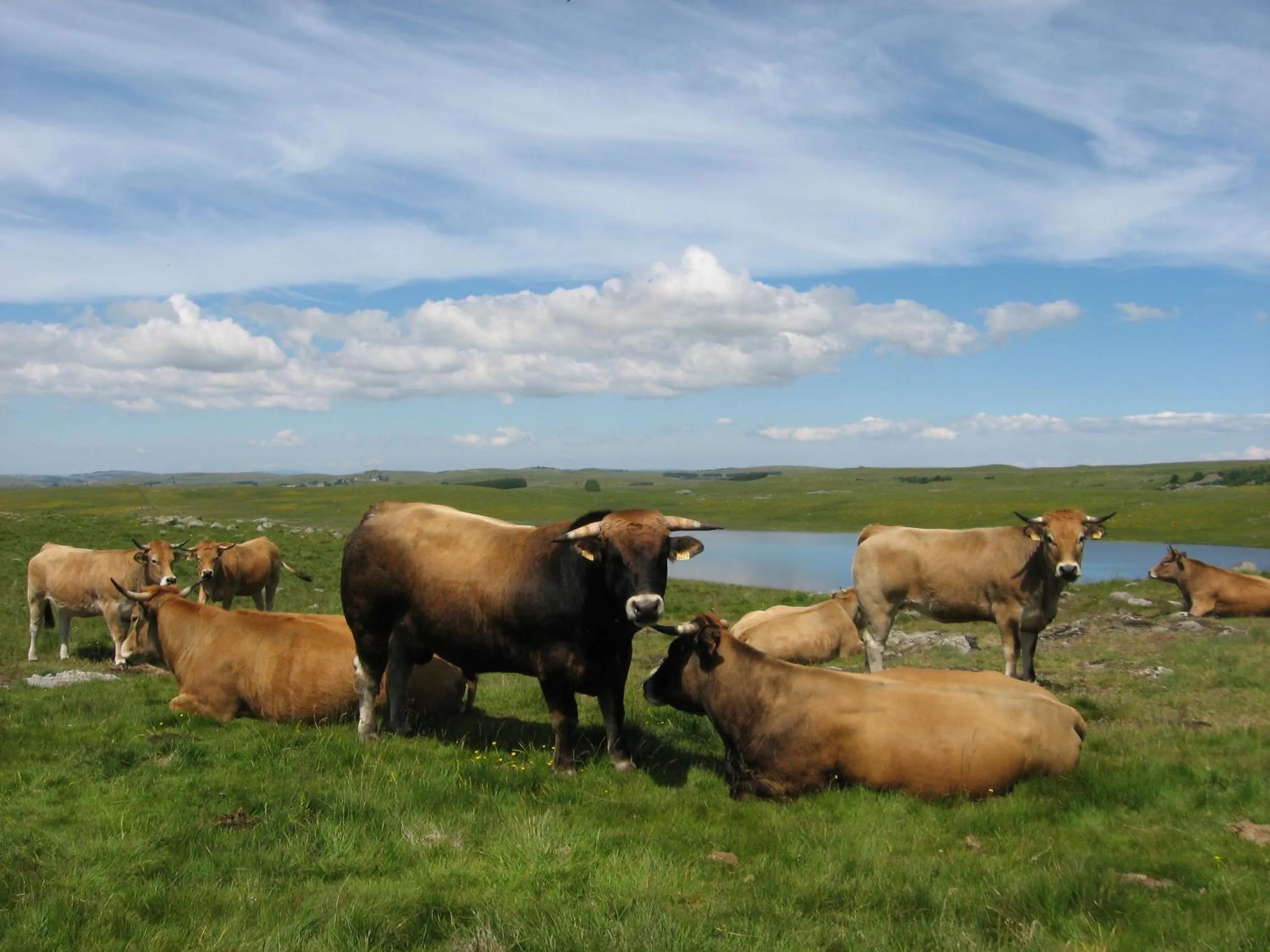 Day in Logis Hôtel Restaurant Gilles Moreau Laguiole