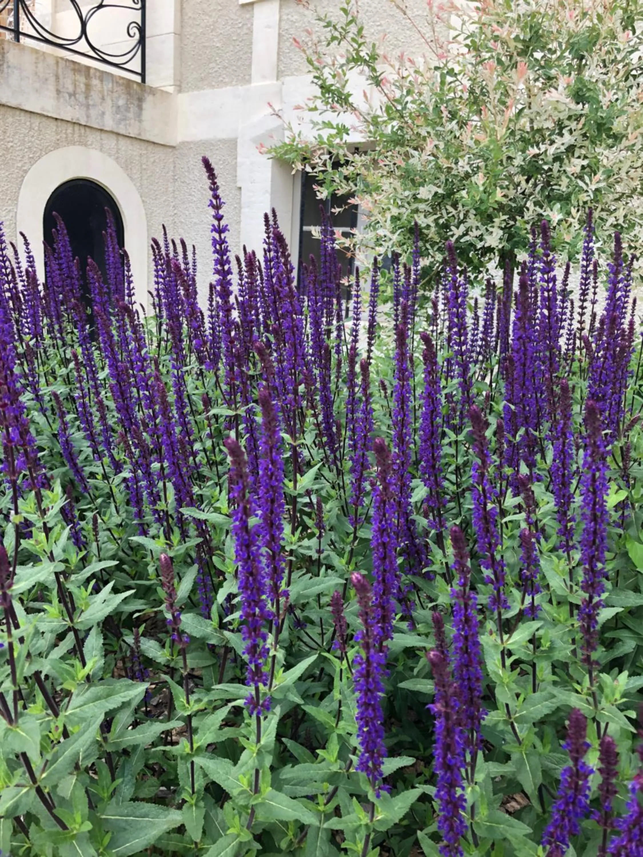 Château de la gauderie