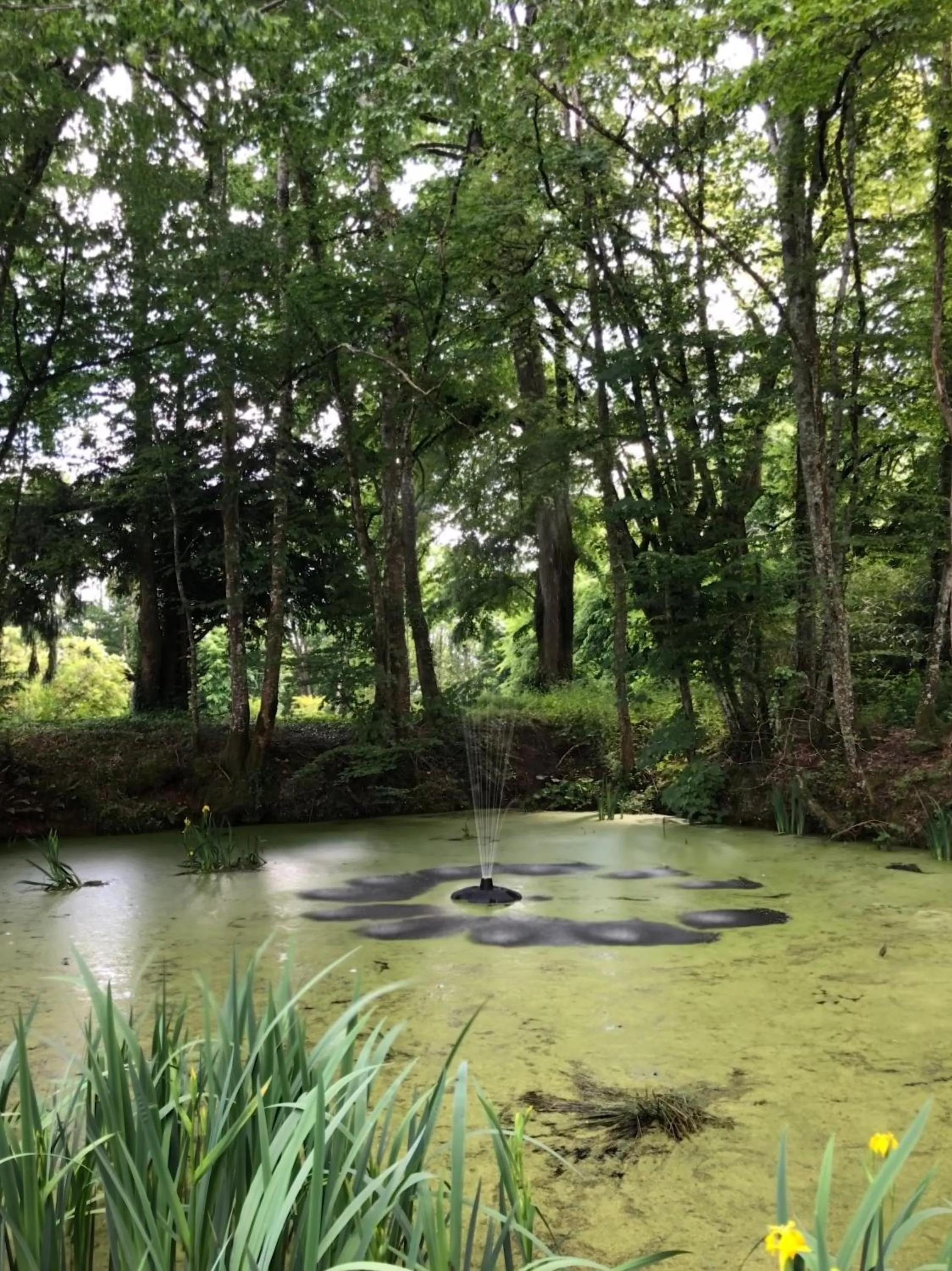 Château de la gauderie