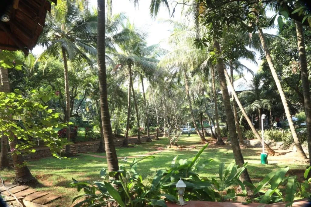 Garden in Outpost@Alibaug