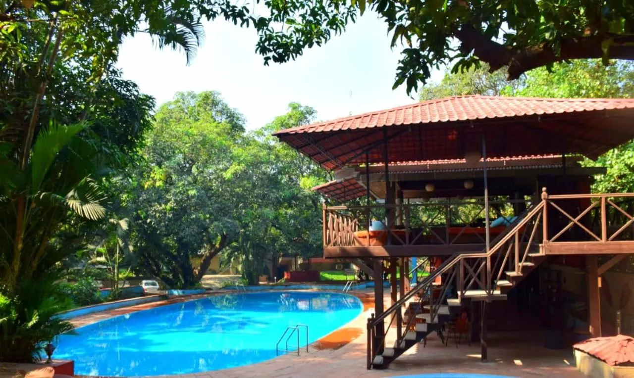 Swimming pool in Outpost@Alibaug