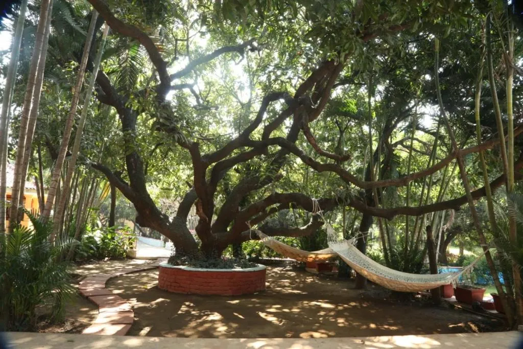 Garden view in Outpost@Alibaug