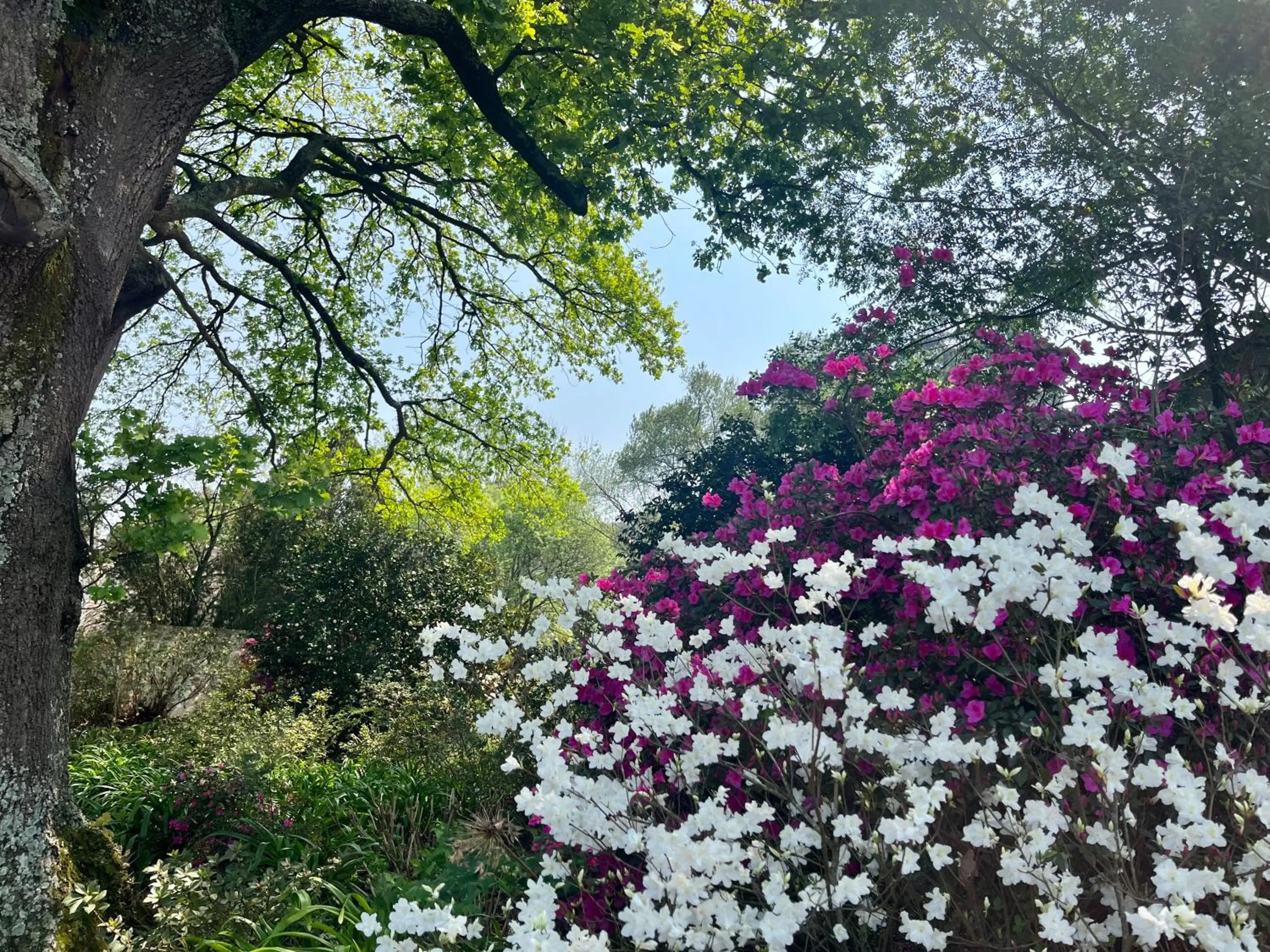 Gowan Valley Guest Farm